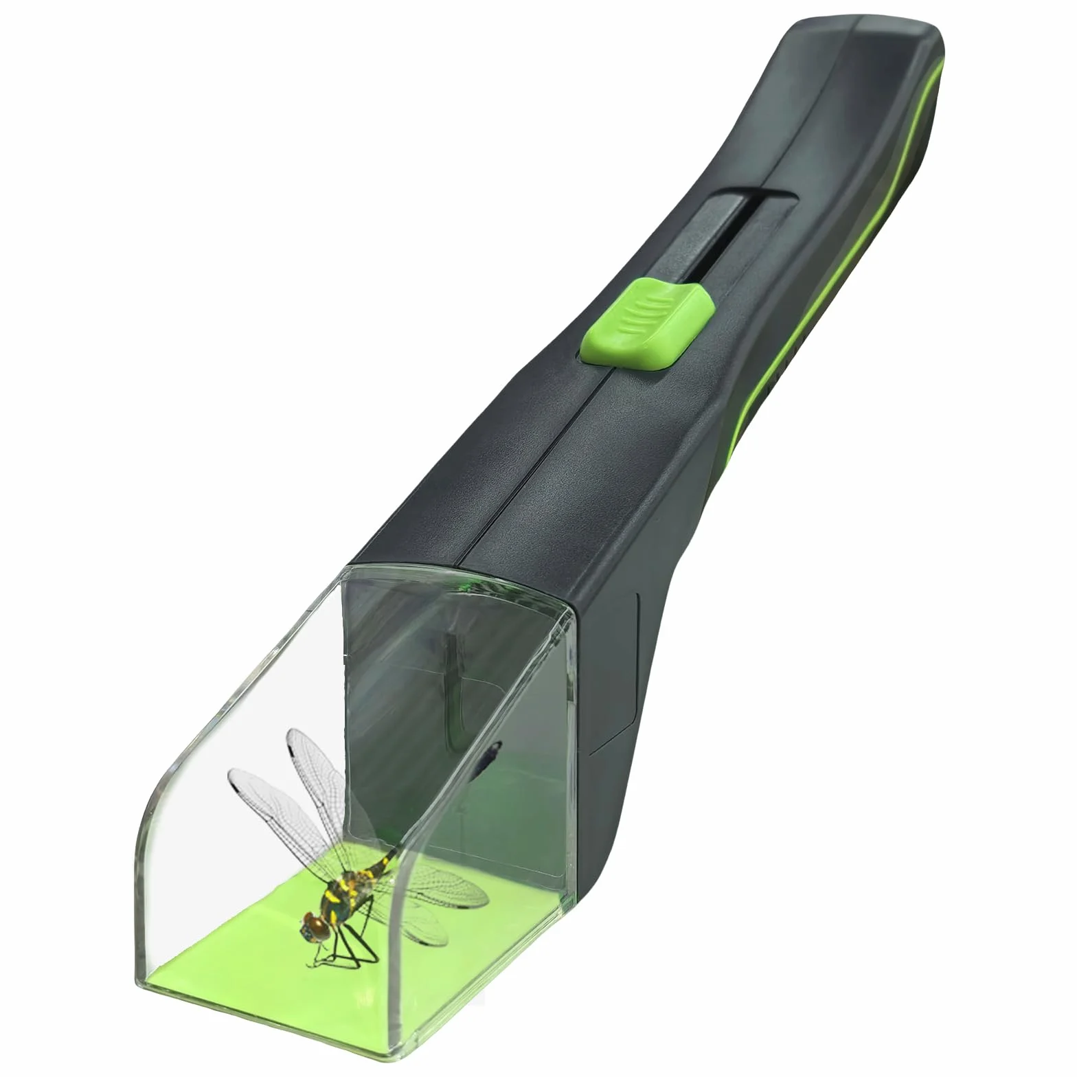 Attrape Insecte et Araignée pour Enfants et Adultes - Vert