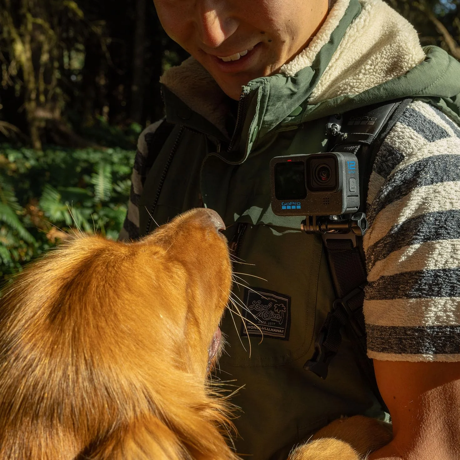 GoPro HERO12 Black Caméra d'action étanche Ultra HD 5.3K60 27MP HDR stabilisation