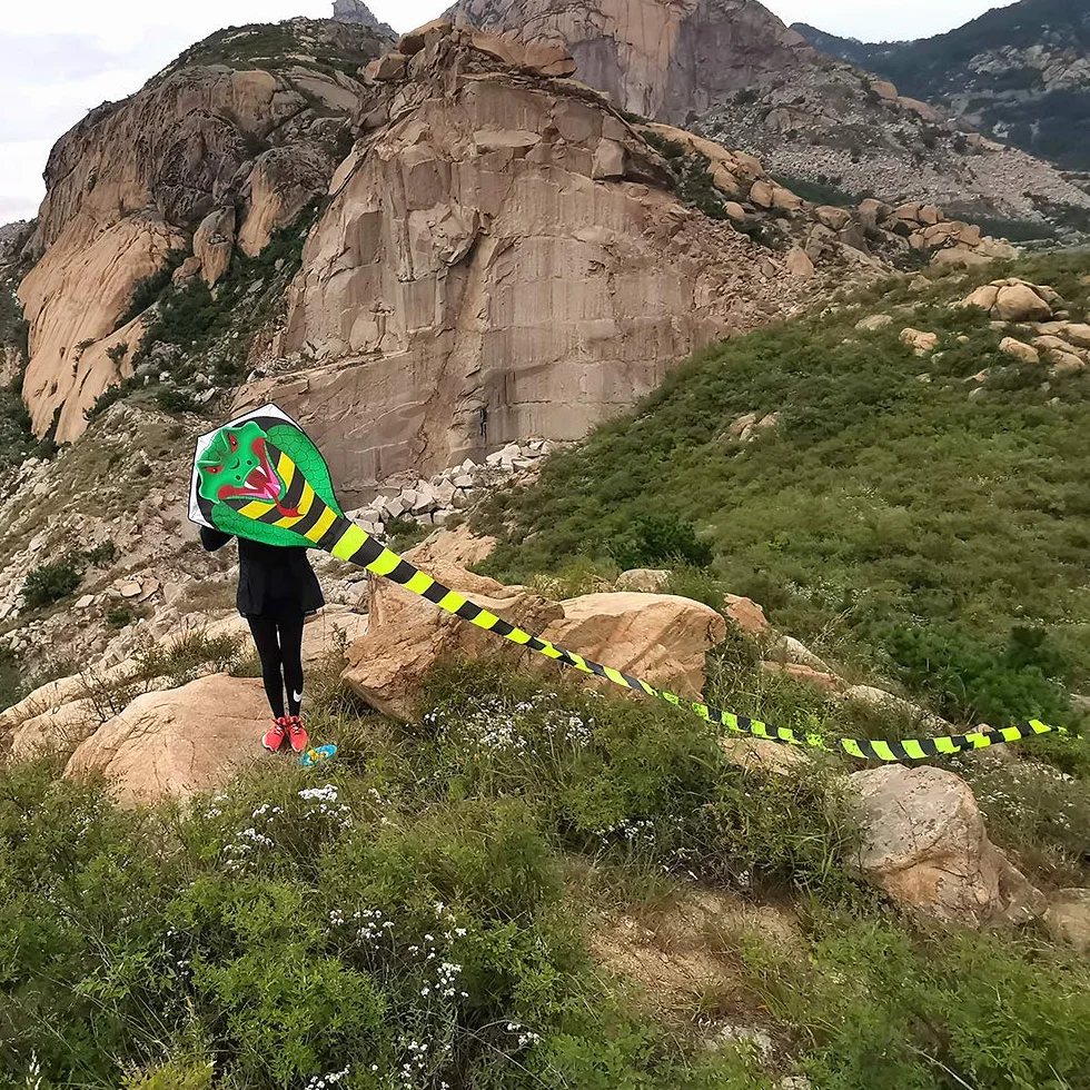 Cerf-Volant Enfants et Adultes Cobra Sport Plage, Ligne et Poignée Inclus