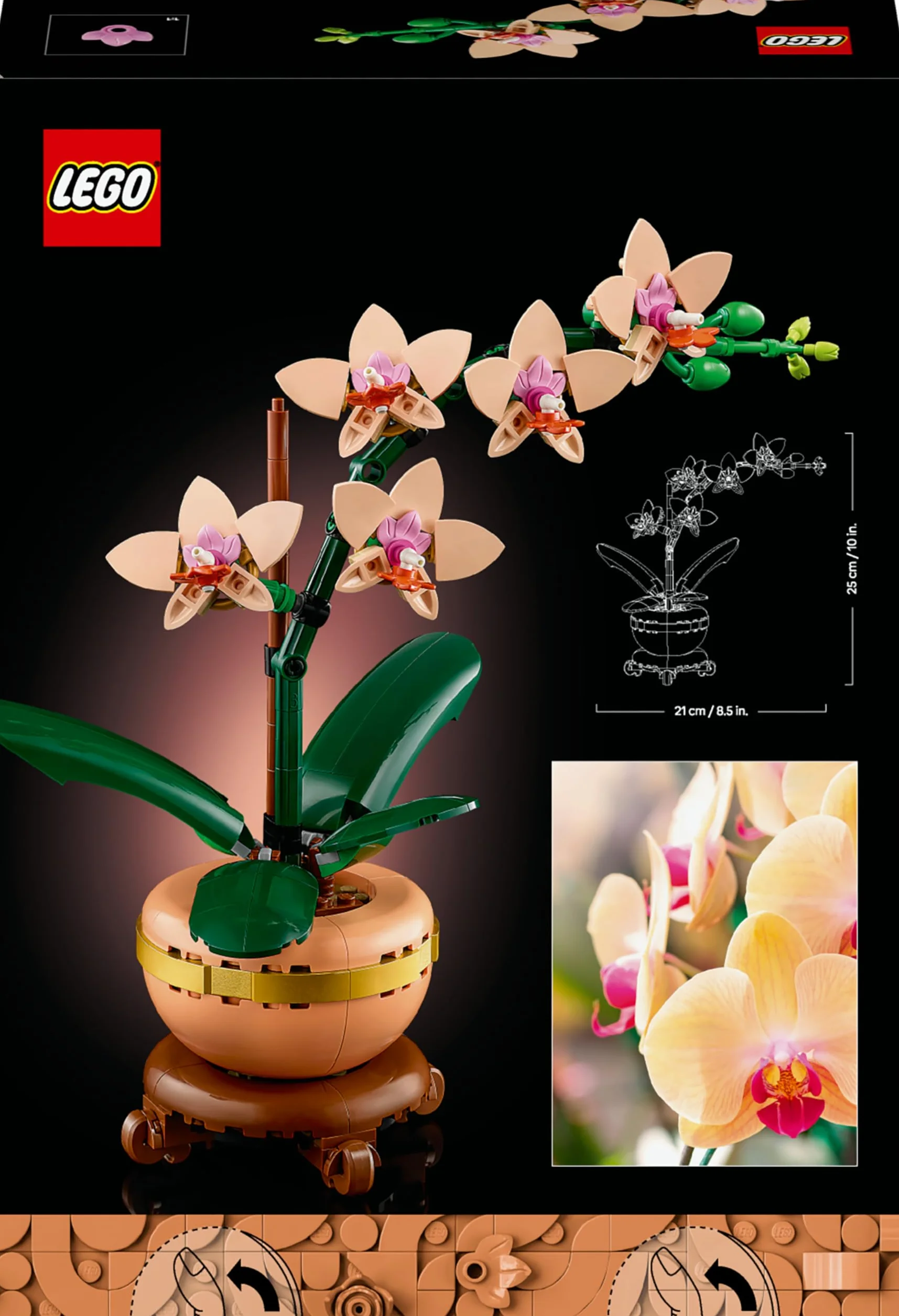 LEGO Botanicals L’Orchidée Miniature 10343 Fleurs Artificielles pour Adulte Plante avec Pot Style Terracotta Décoration Intérieure