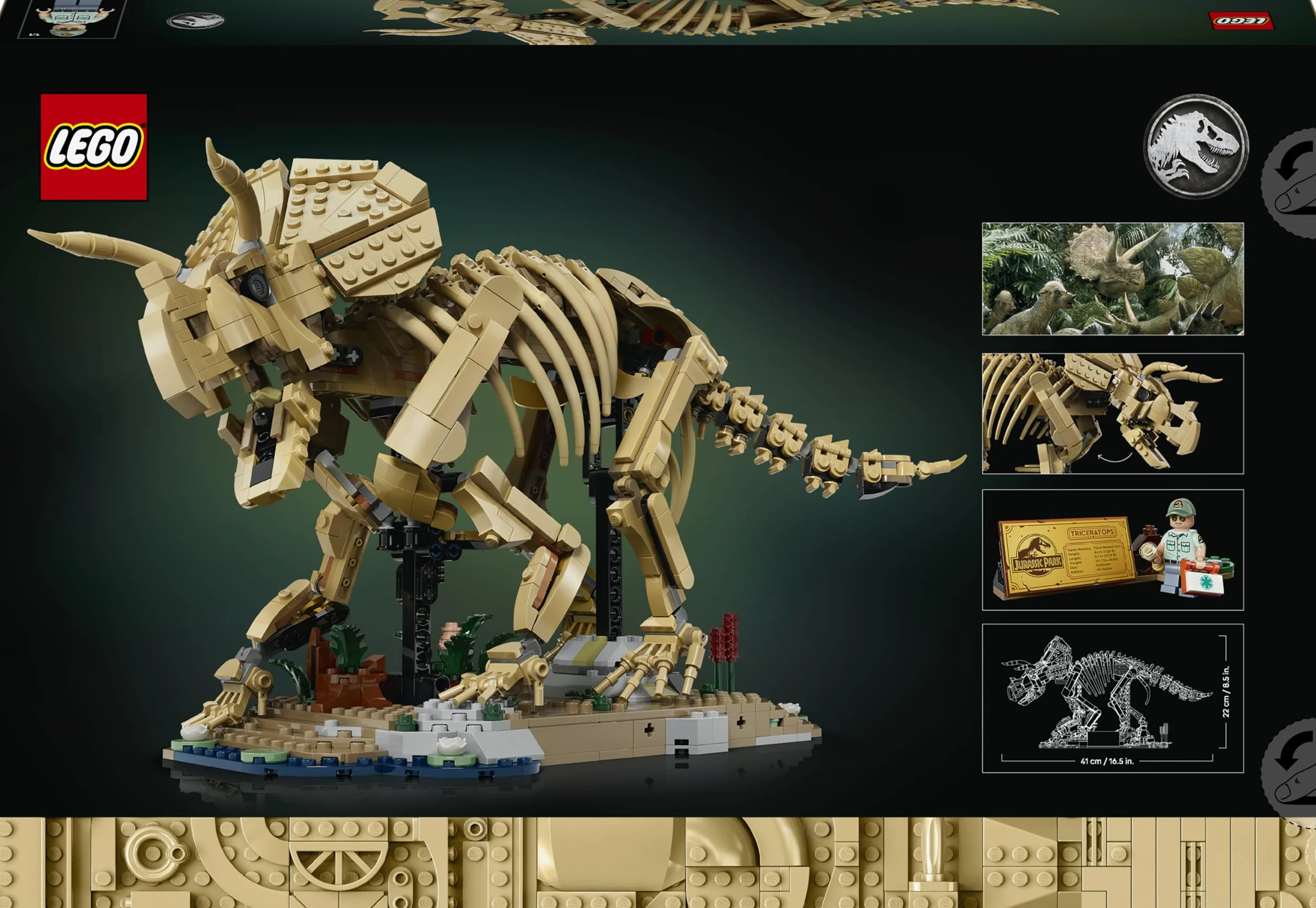 LEGO Jurassic World Les Fossiles de Dinosaure : Le Tricératops Maquette pour Adulte Minifigurine Dr Gerry Harding 77985