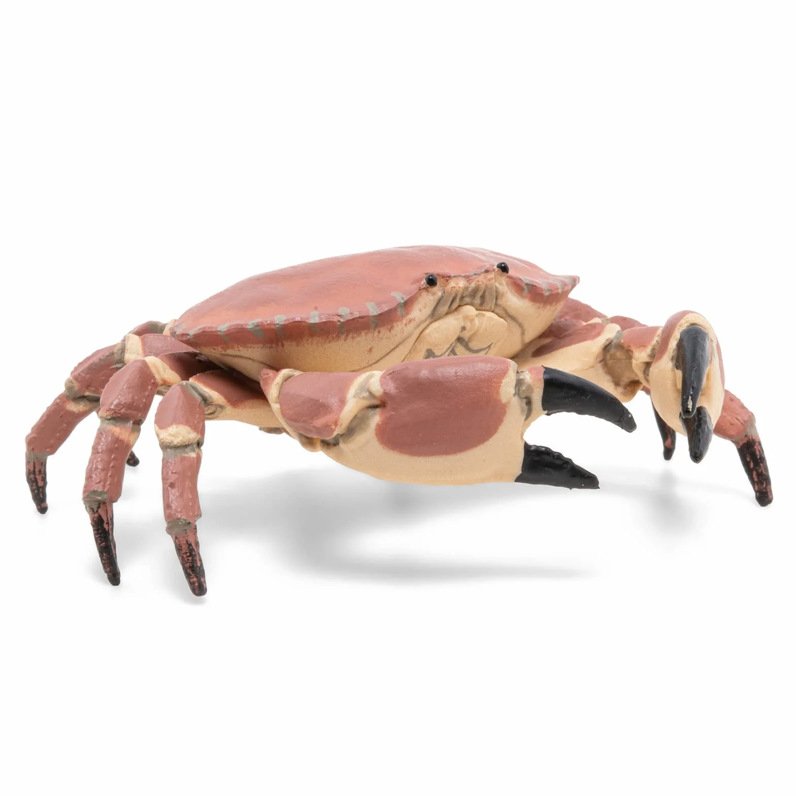 Papo Figurine Crabe Marin Réaliste Jouet Enfant 3 ans+ Univers Marin Jeu éducatif 8 cm