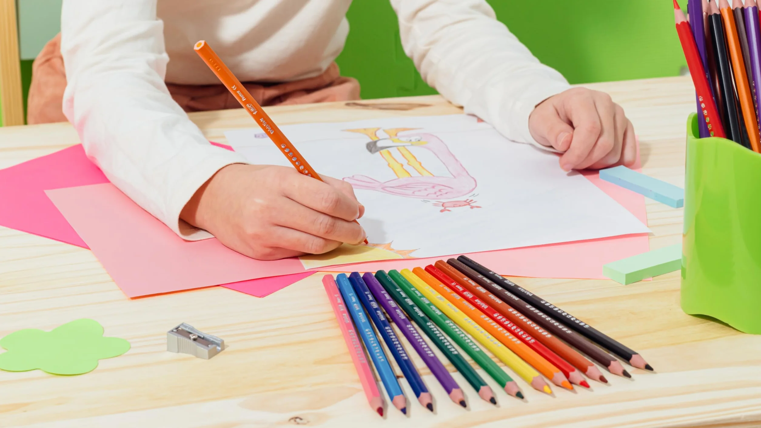BIC Kids Ecriture Evolution Crayons de Couleur Eco-responsables - Etui Carton de 24