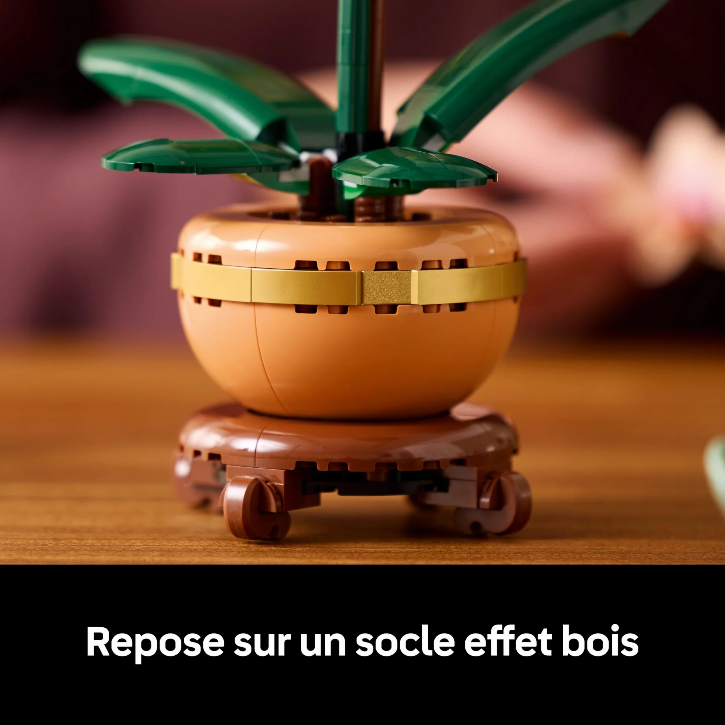 LEGO Botanicals L’Orchidée Miniature 10343 Fleurs Artificielles pour Adulte Plante avec Pot Style Terracotta Décoration Intérieure
