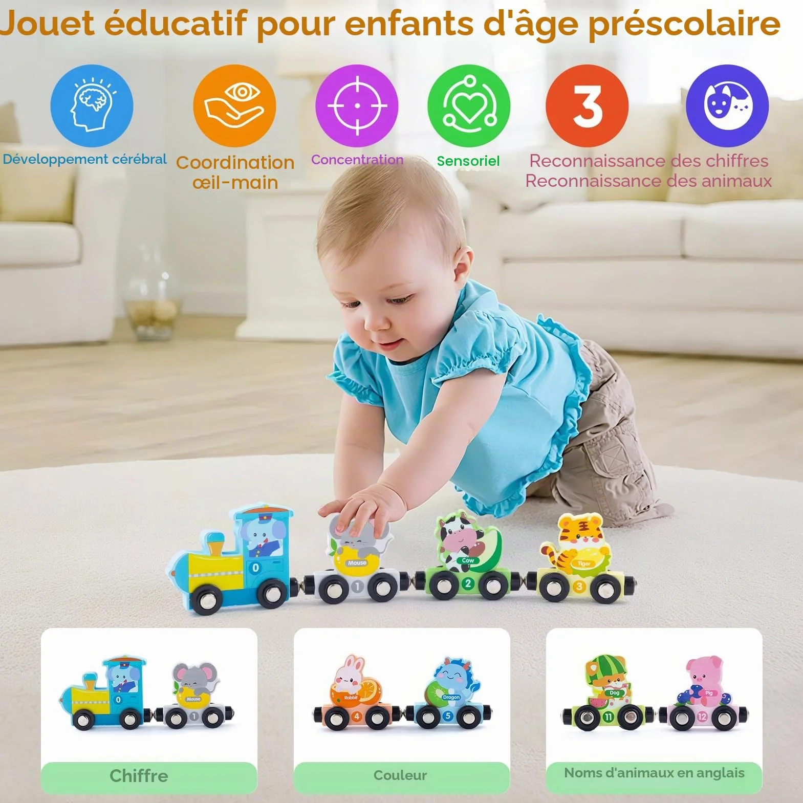 Train d'animaux magnétiques en bois Montessori lot de 13 jouet éducatif 1 2 3 ans