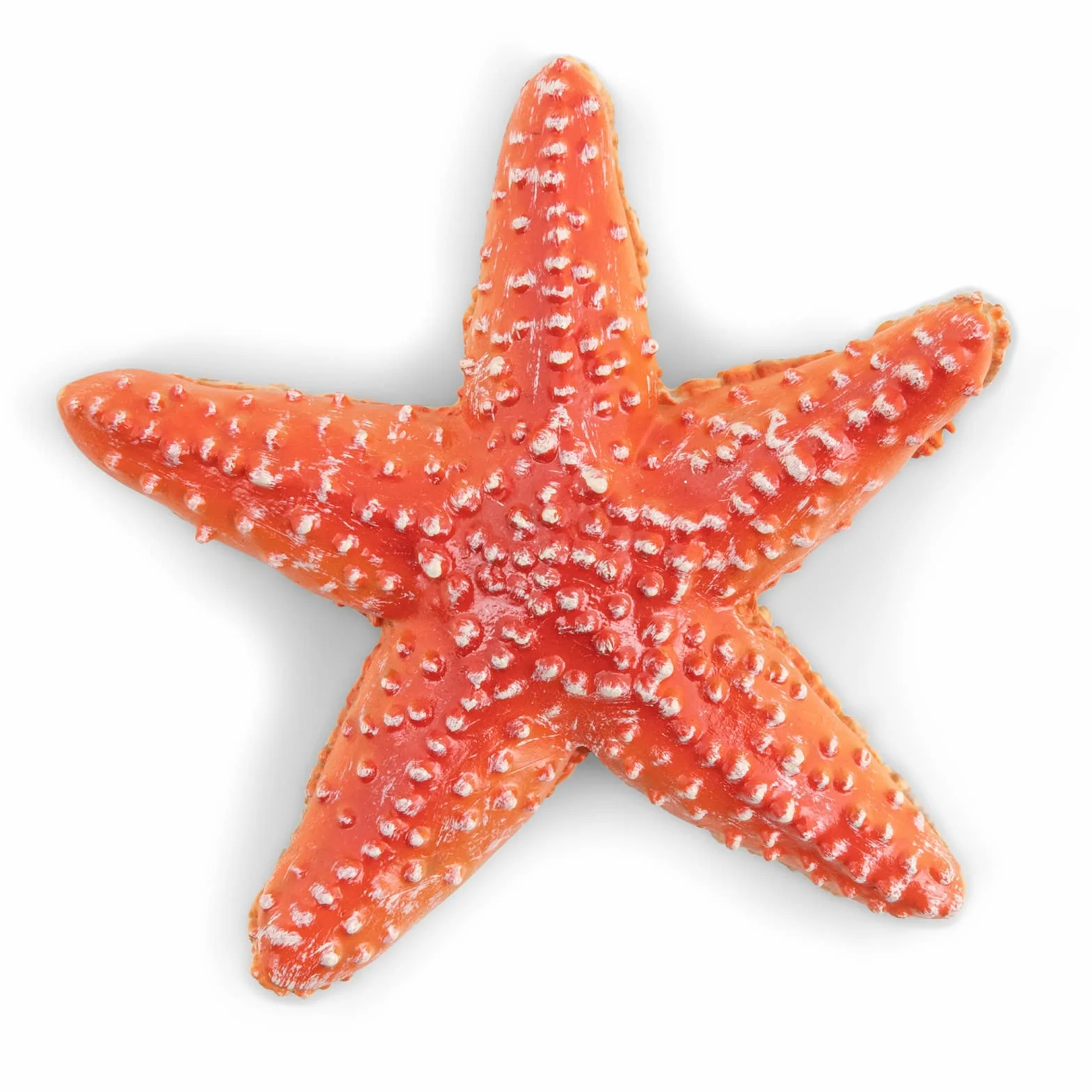 Papo Figurine étoile de mer Univers Marin Collection Enfant 3 Ans+