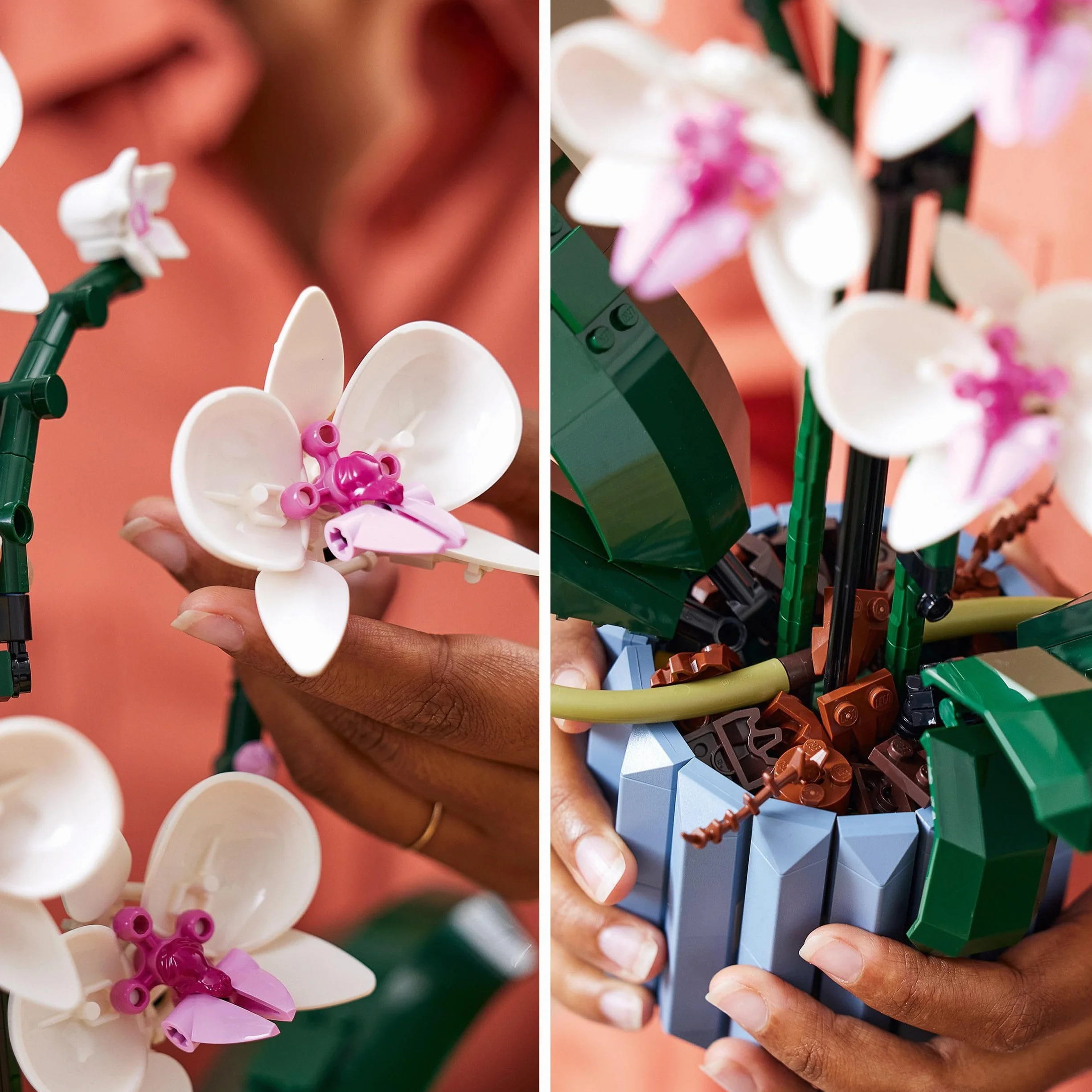 LEGO Botanicals L’Orchidée 10311 Plantes Artificielles d'Intérieur Décoration Maison Loisirs Créatifs Adulte
