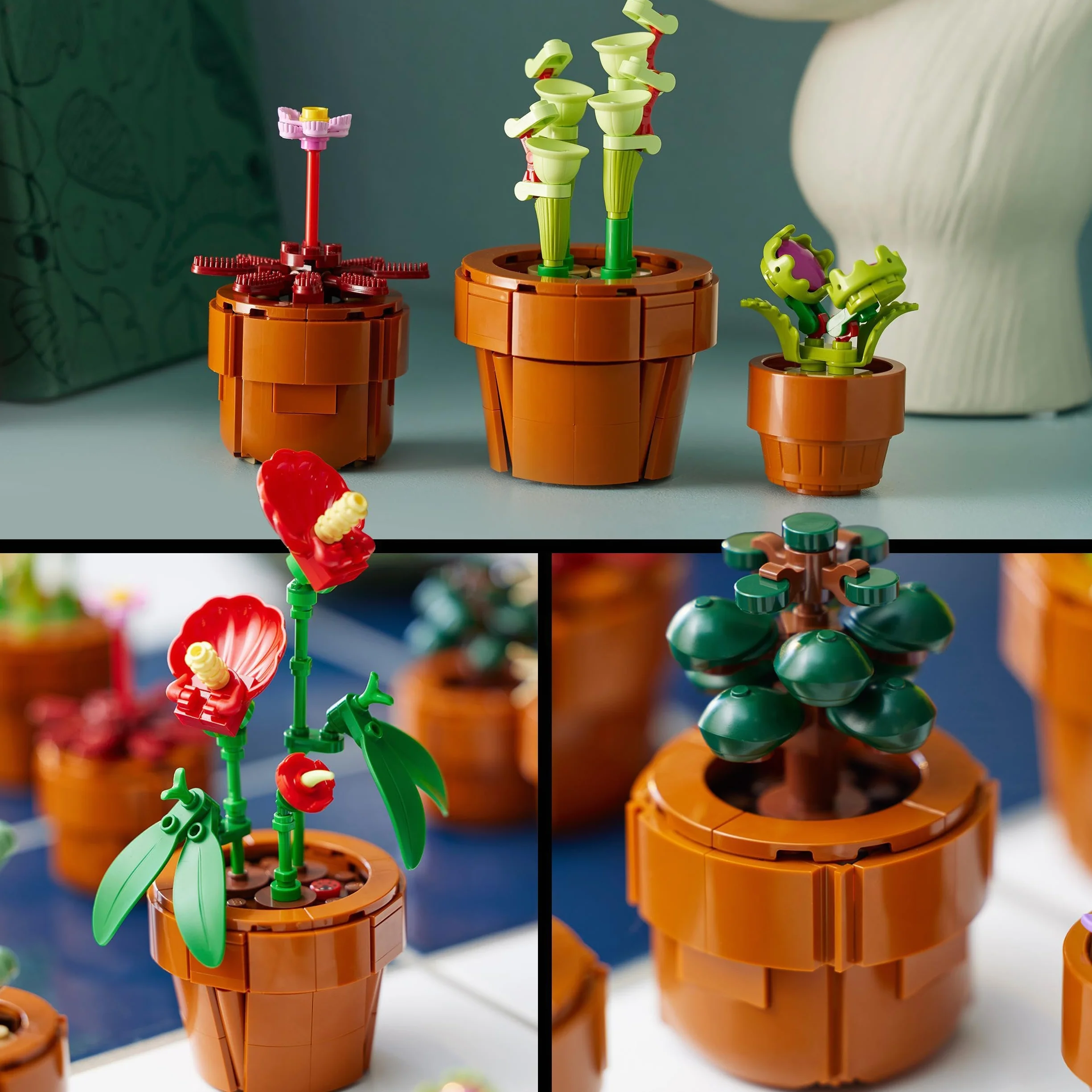 LEGO Botanicals Les Plantes Miniatures 10329 9 Plantes artificielles Cactus à Construire pour Adulte