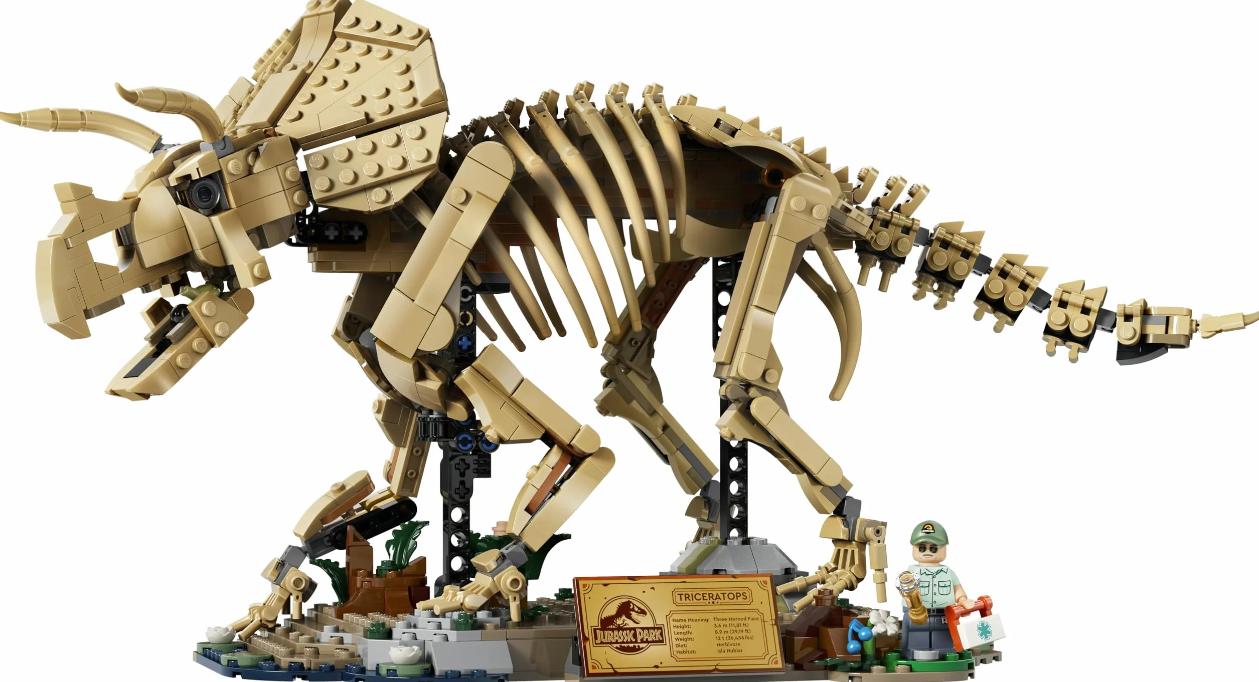 LEGO Jurassic World Les Fossiles de Dinosaure : Le Tricératops Maquette pour Adulte Minifigurine Dr Gerry Harding 77985