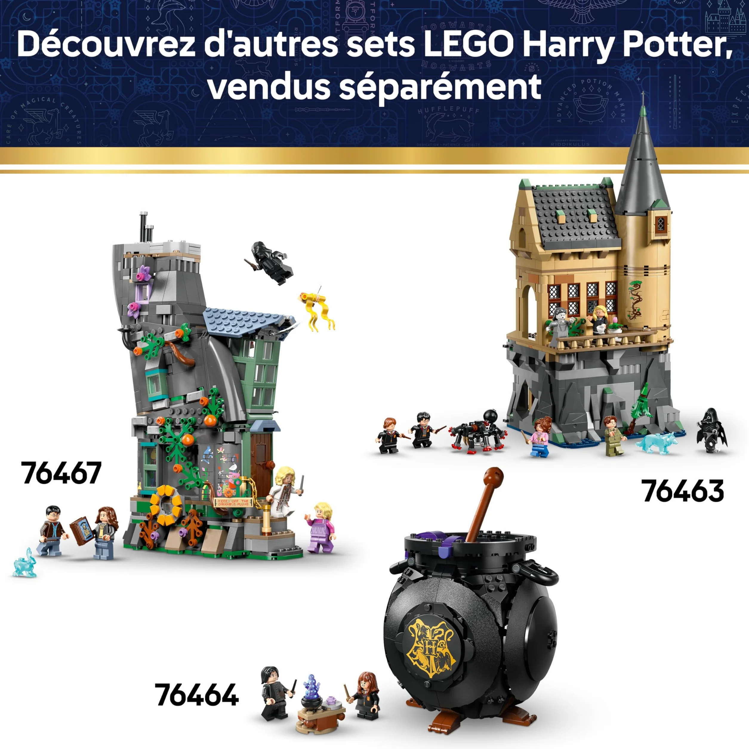 LEGO Harry Potter Le Château de Poudlard : la Cérémonie du Choixpeau Magique 76460 Jouet Minifigurine Hermione Baguettes Magiques Cadeau 7 Ans
