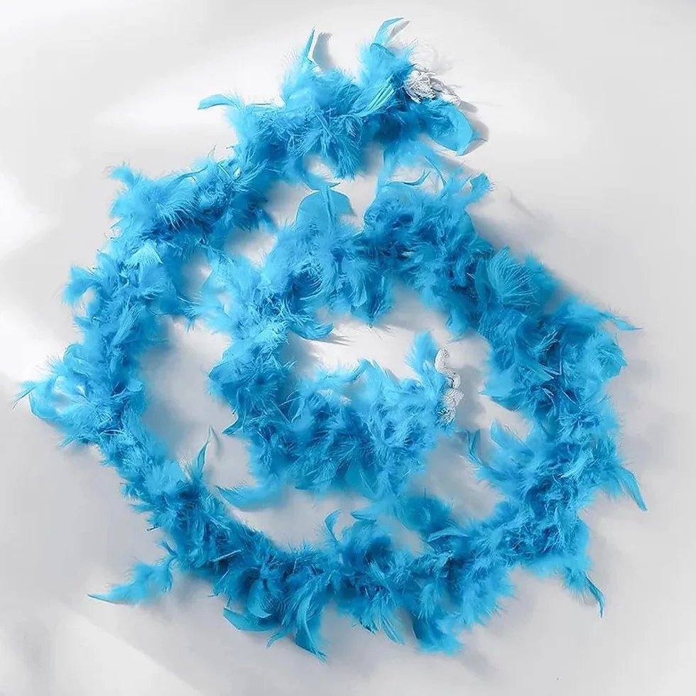 Boa en plumes 4PCS avec Lunettes de Soleil en Forme de Cœur pour Halloween Fête Carnaval