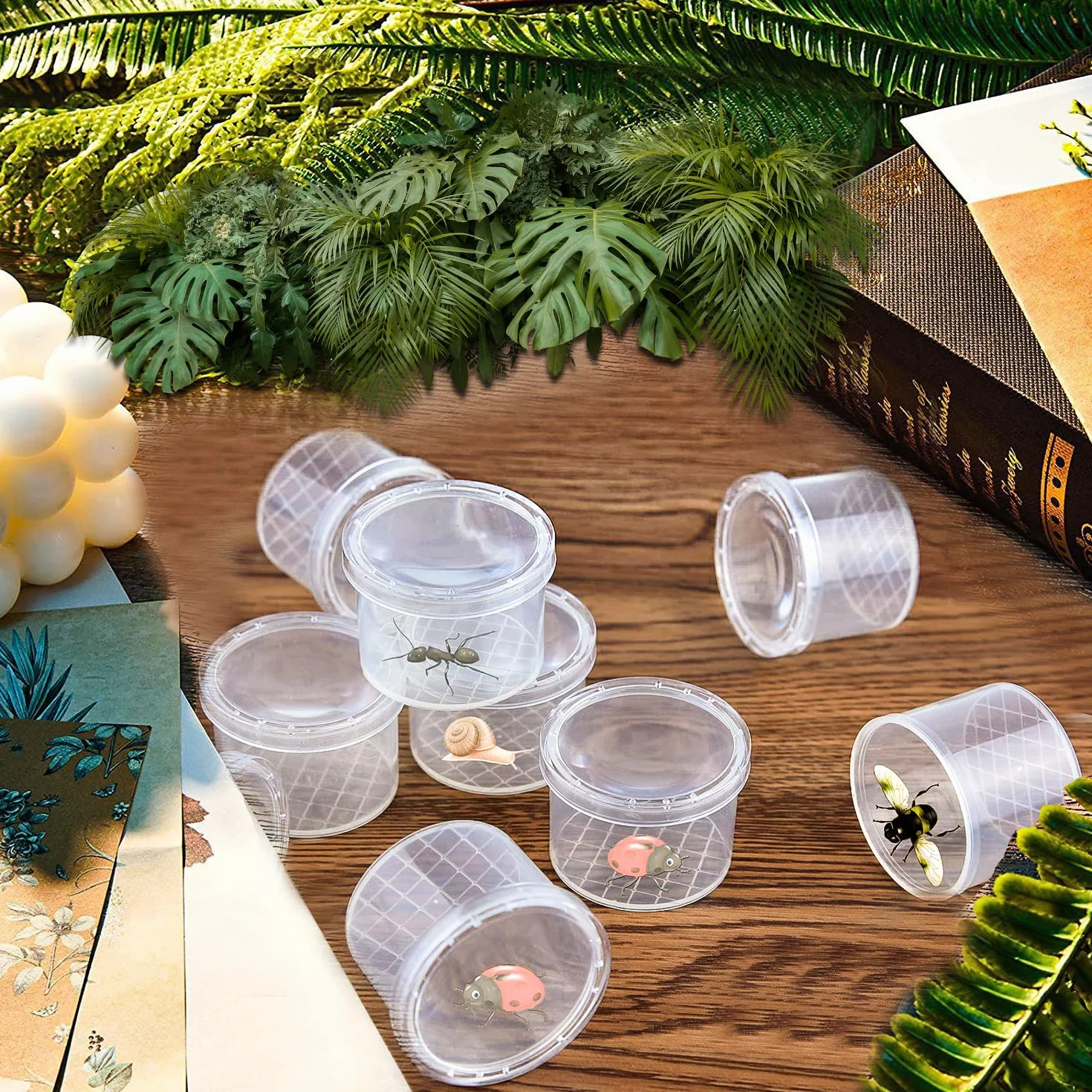 Lot de 12 loupes pour enfants - Kit de recherche biologie insectes