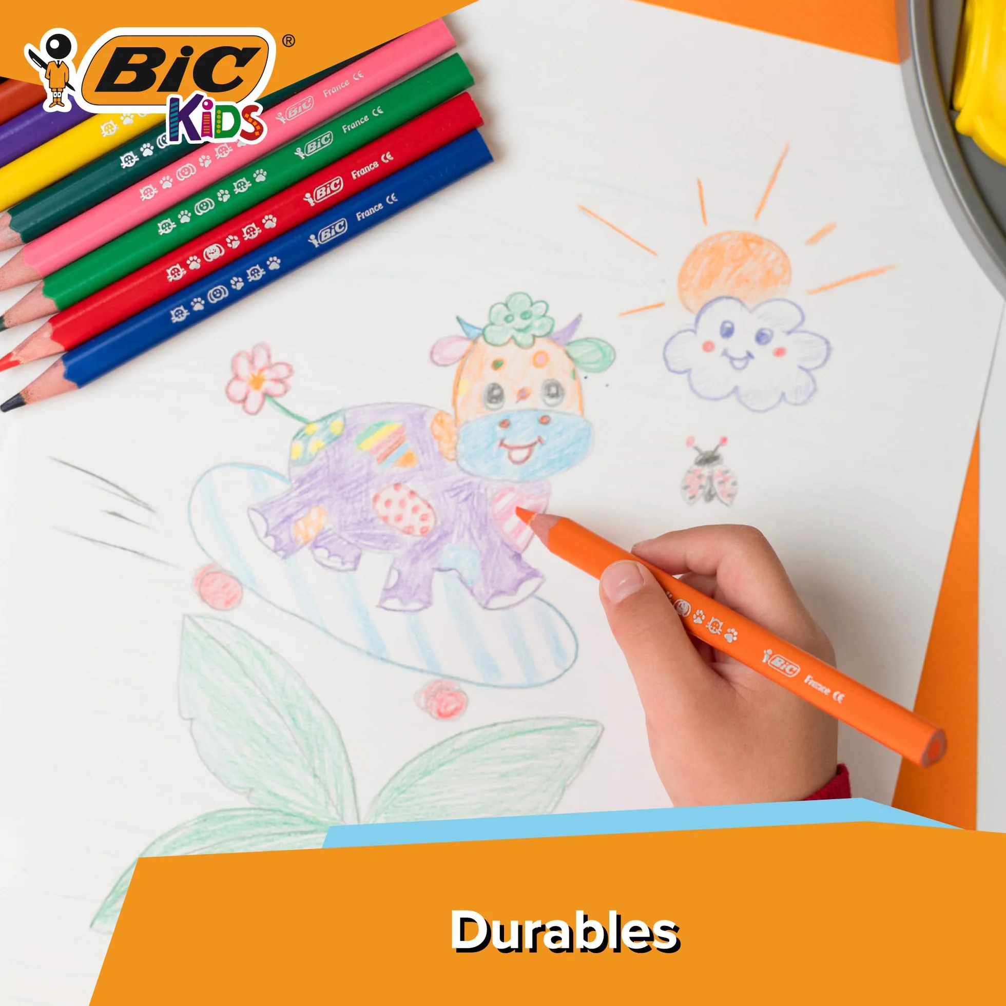 BIC Kids Evolution Triangle ECOlutions Crayons de Couleurs Triangulaires, Etui Carton de 12