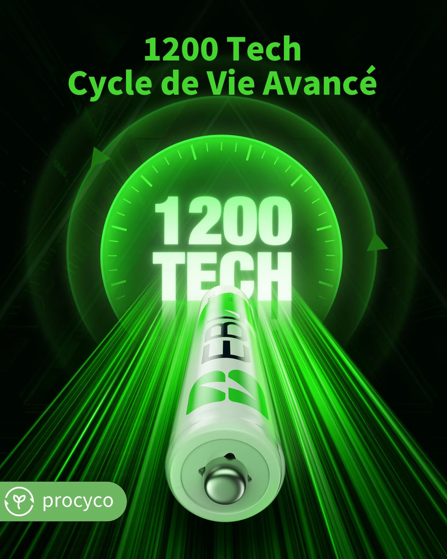EBL Piles Rechargeables AAA 1100mAh 1,2V Ni-MH Haute Capacité avec Boîte de Stockage