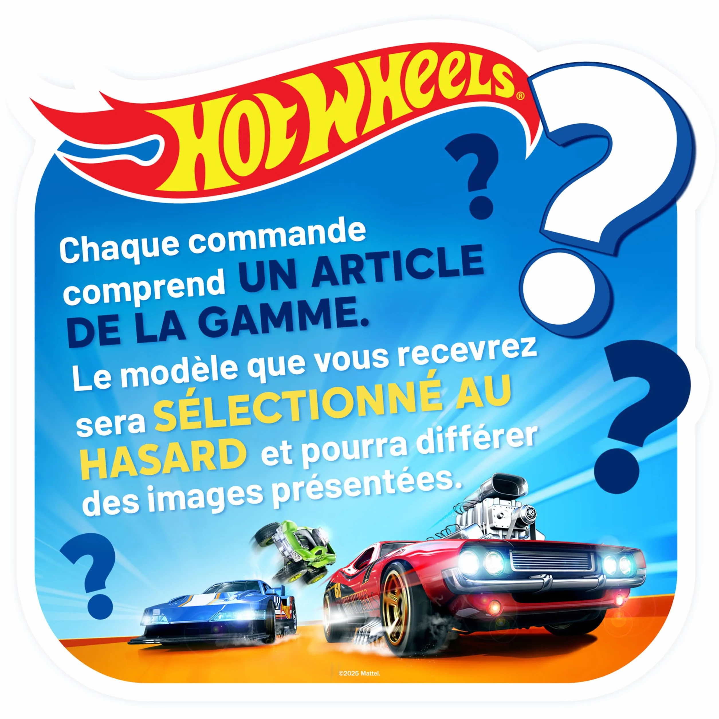 Hot Wheels Skate Fingerboard Coffret Tony Hawk HGT46 Jouet Enfant avec 1 Fingerboard et 1 Paire de Chaussures