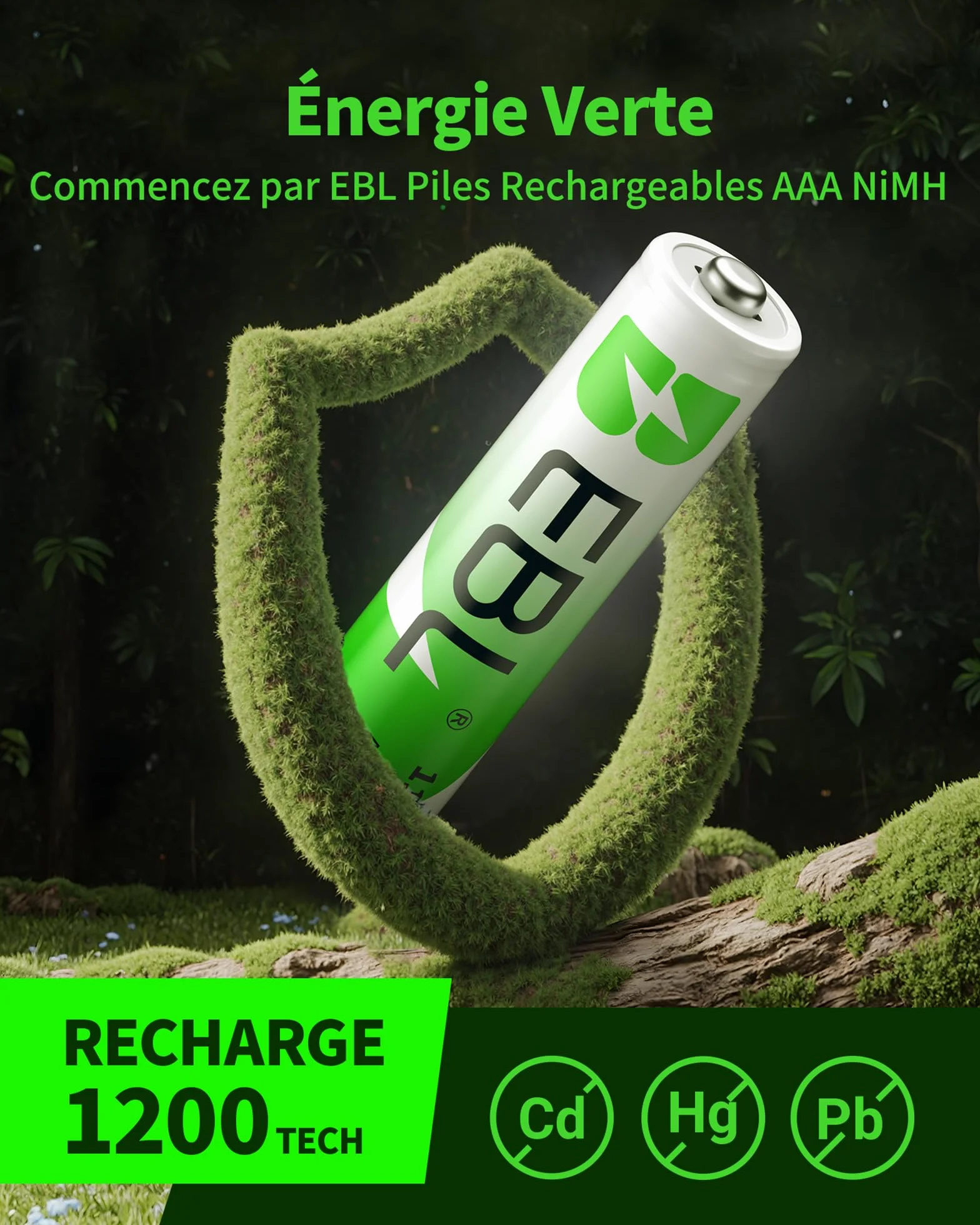 EBL Piles Rechargeables AAA 1100mAh 1,2V Ni-MH Haute Capacité avec Boîte de Stockage