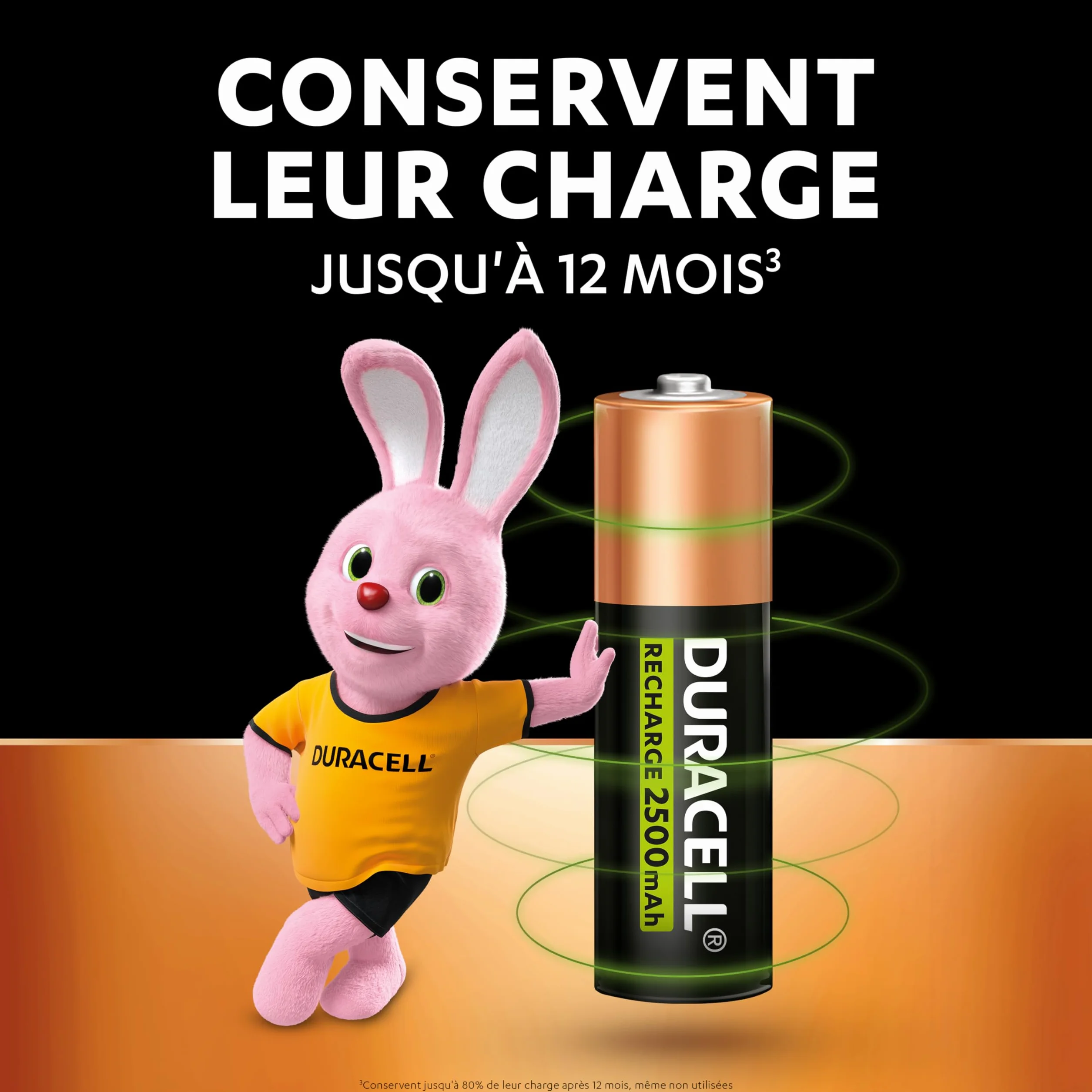 Duracell Piles AA Rechargeables 2500 mAh NiMH Lot de 8
