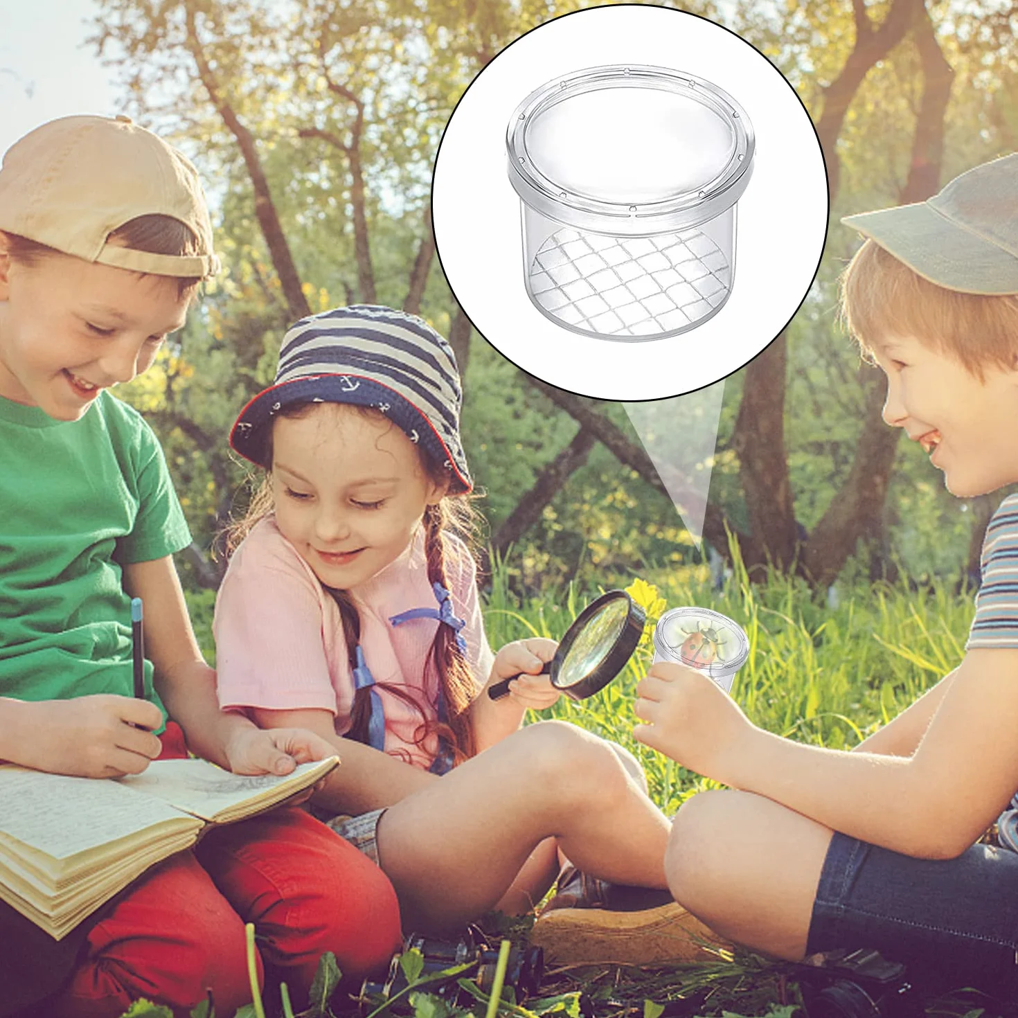 Lot de 12 loupes pour enfants - Kit de recherche biologie insectes