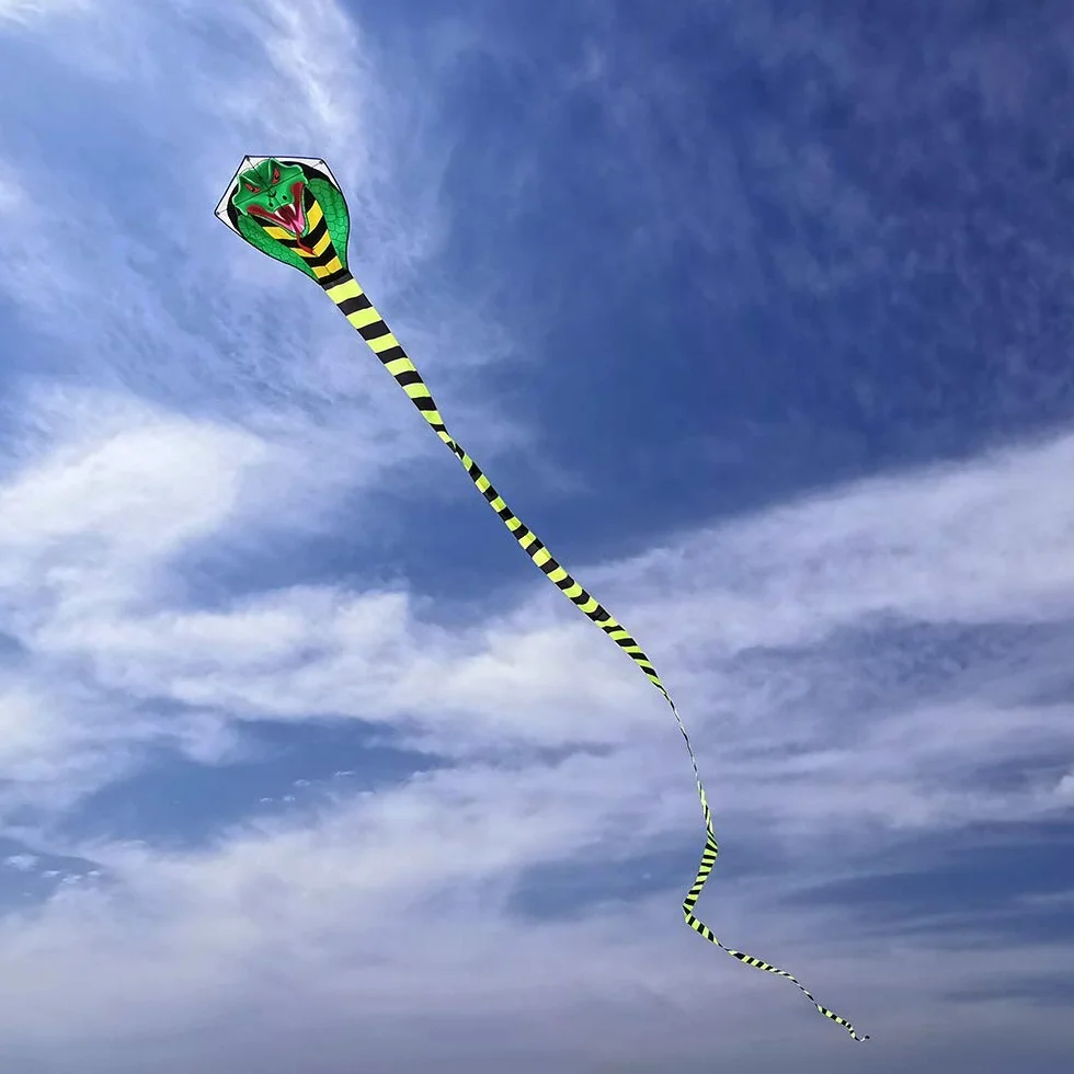 Cerf-Volant Enfants et Adultes Cobra Sport Plage, Ligne et Poignée Inclus