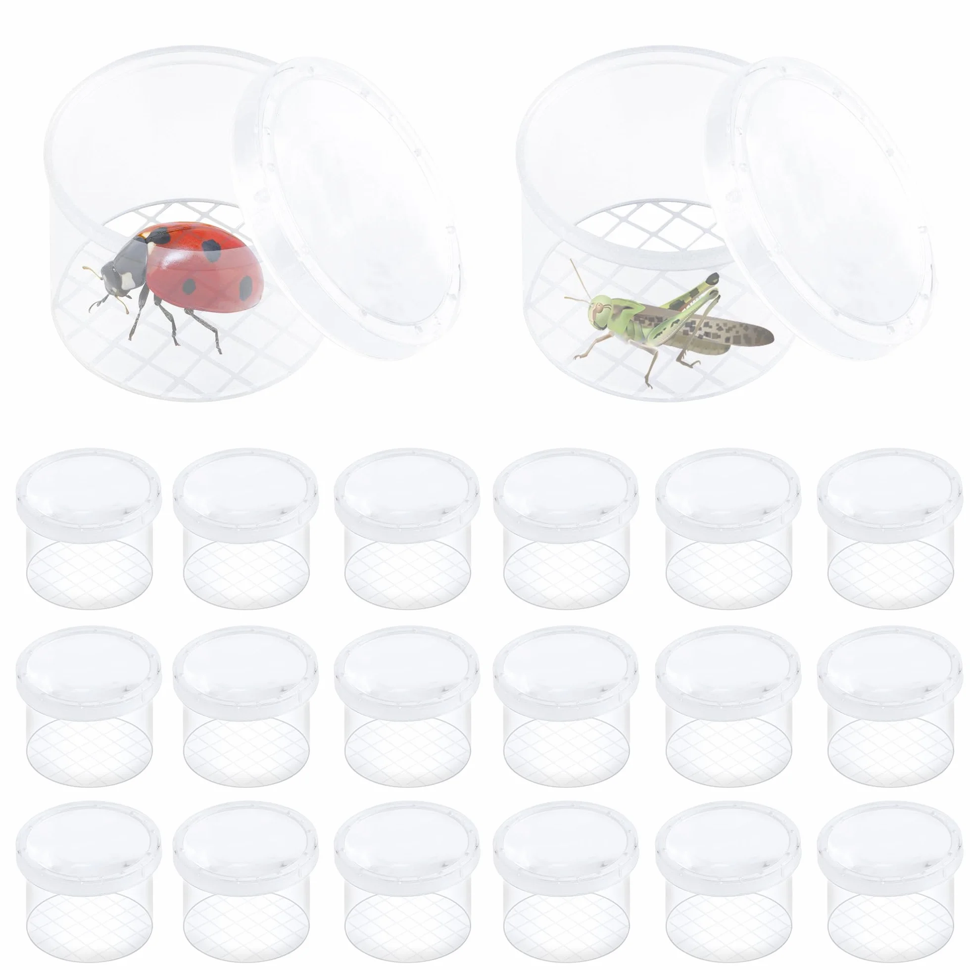 20 Pièces Boîte Loupe À Insecte Transparent Portable, Conteneur pour Science et Collection d’Insectes