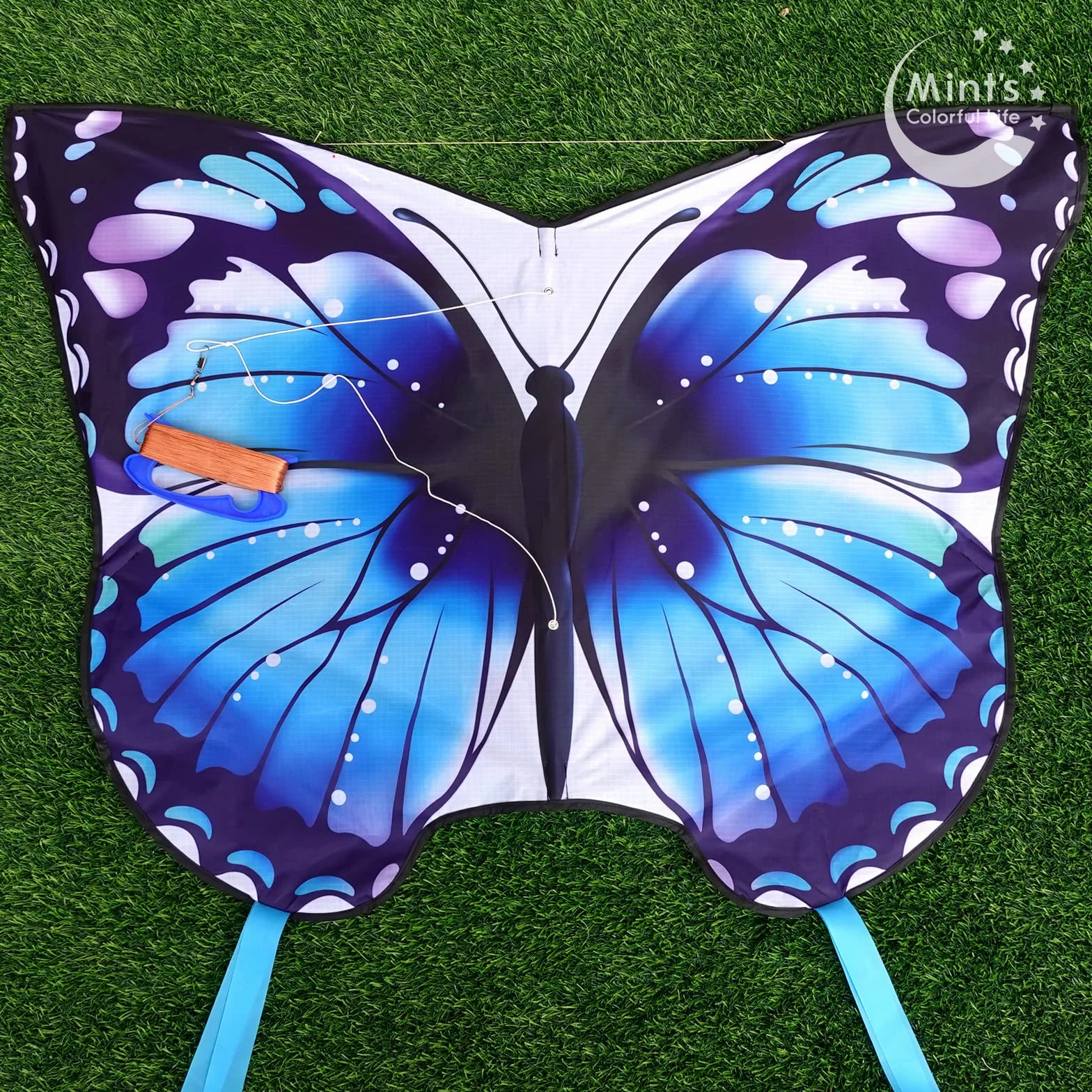 Mint's Colorful Life Cerfs-Volants Papillons Faciles à Piloter Enfants Adultes