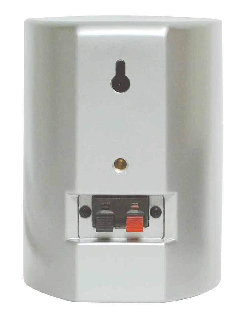 Dynavox AS-301 Enceintes Satellites, Paire compacte pour Home Cinéma, Fixation Murale, Argenté