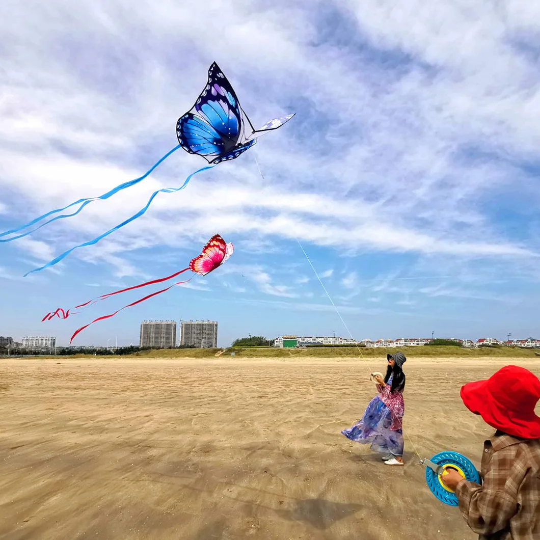 Mint's Colorful Life Cerfs-Volants Papillons Faciles à Piloter Enfants Adultes