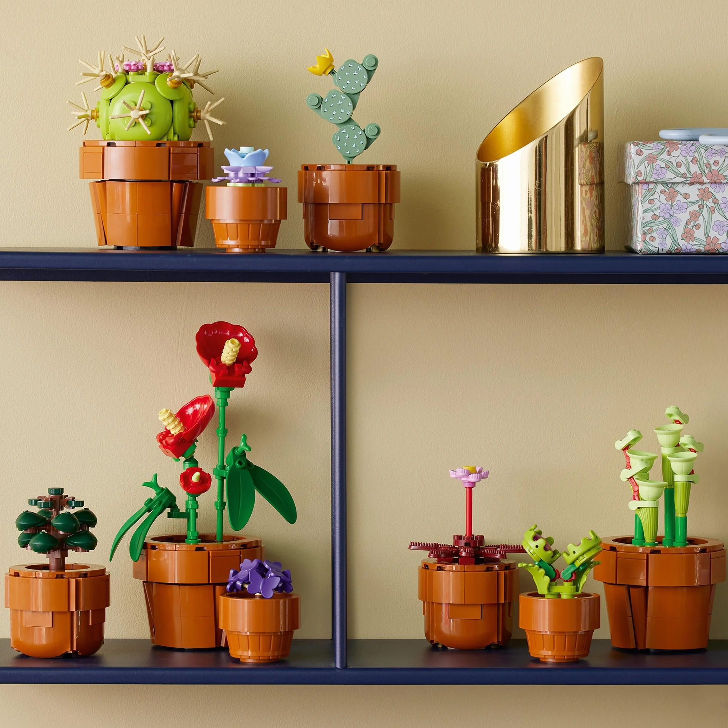 LEGO Botanicals Les Plantes Miniatures 10329 9 Plantes artificielles Cactus à Construire pour Adulte