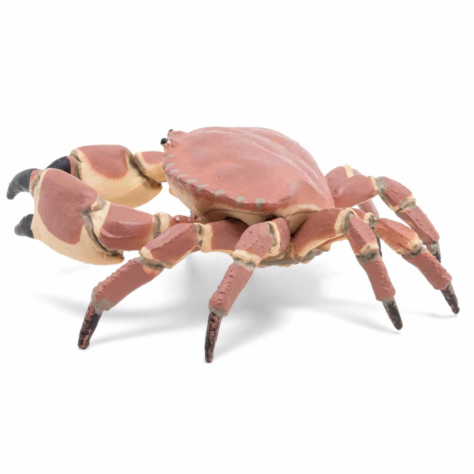 Papo Figurine Crabe Marin Réaliste Jouet Enfant 3 ans+ Univers Marin Jeu éducatif 8 cm