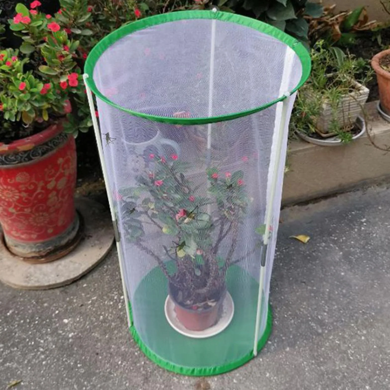 Cage à Papillons en Maille 30 x 40 cm avec Fermeture Éclair Pliante pour Jardin Observation