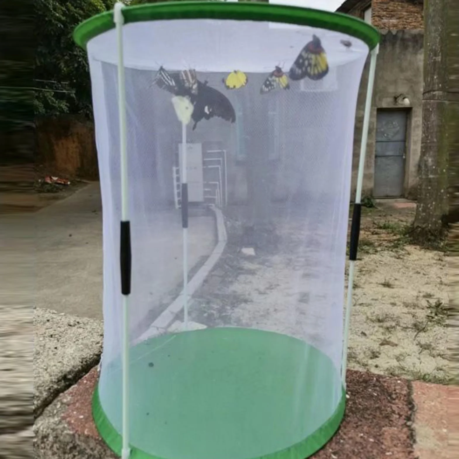 Cage à Papillons en Maille 30 x 40 cm avec Fermeture Éclair Pliante pour Jardin Observation