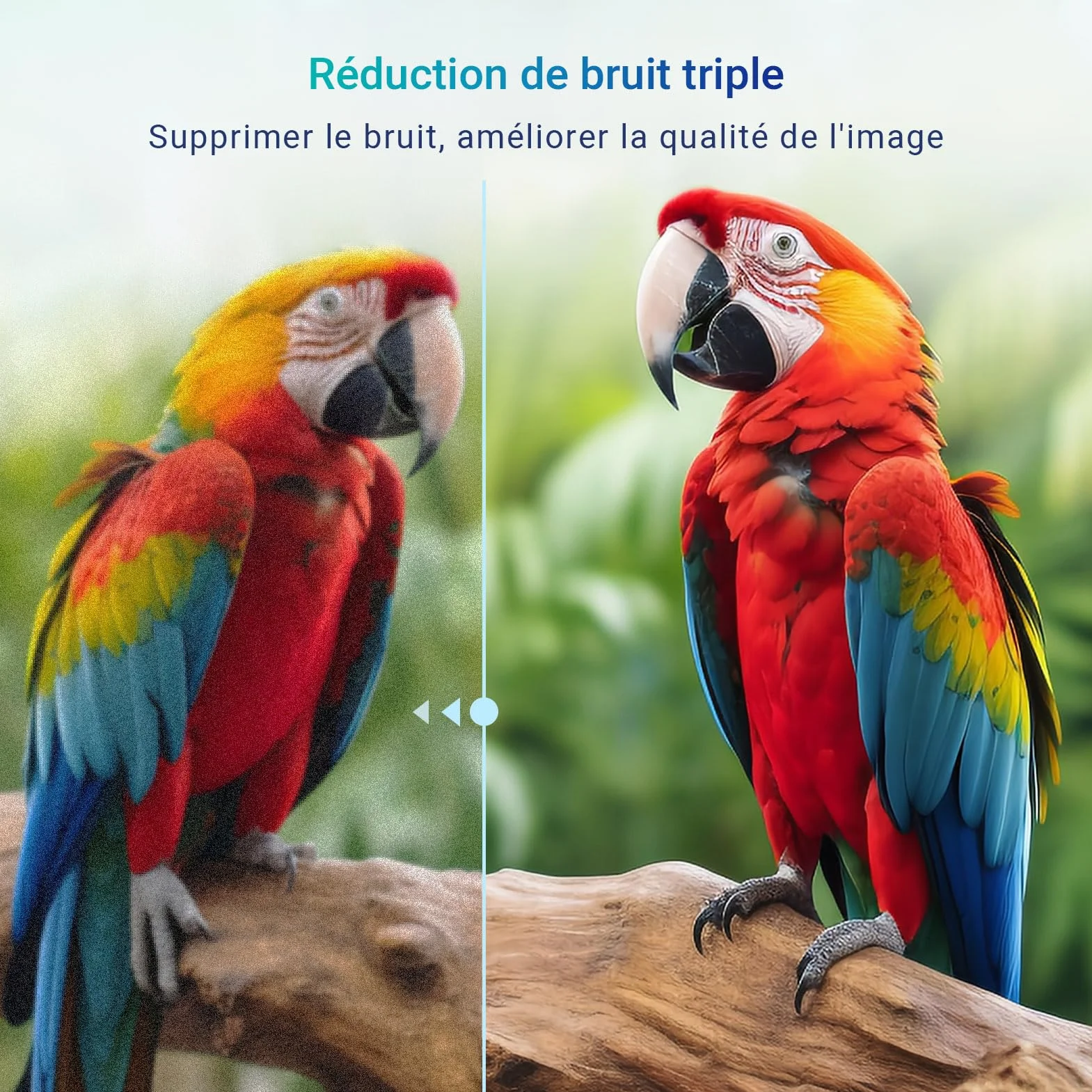 Antteq E32-AH1Q1L TV 32 Pouces 80cm LED HD Ready Triple Tuner HDMI USB Dolby Audio