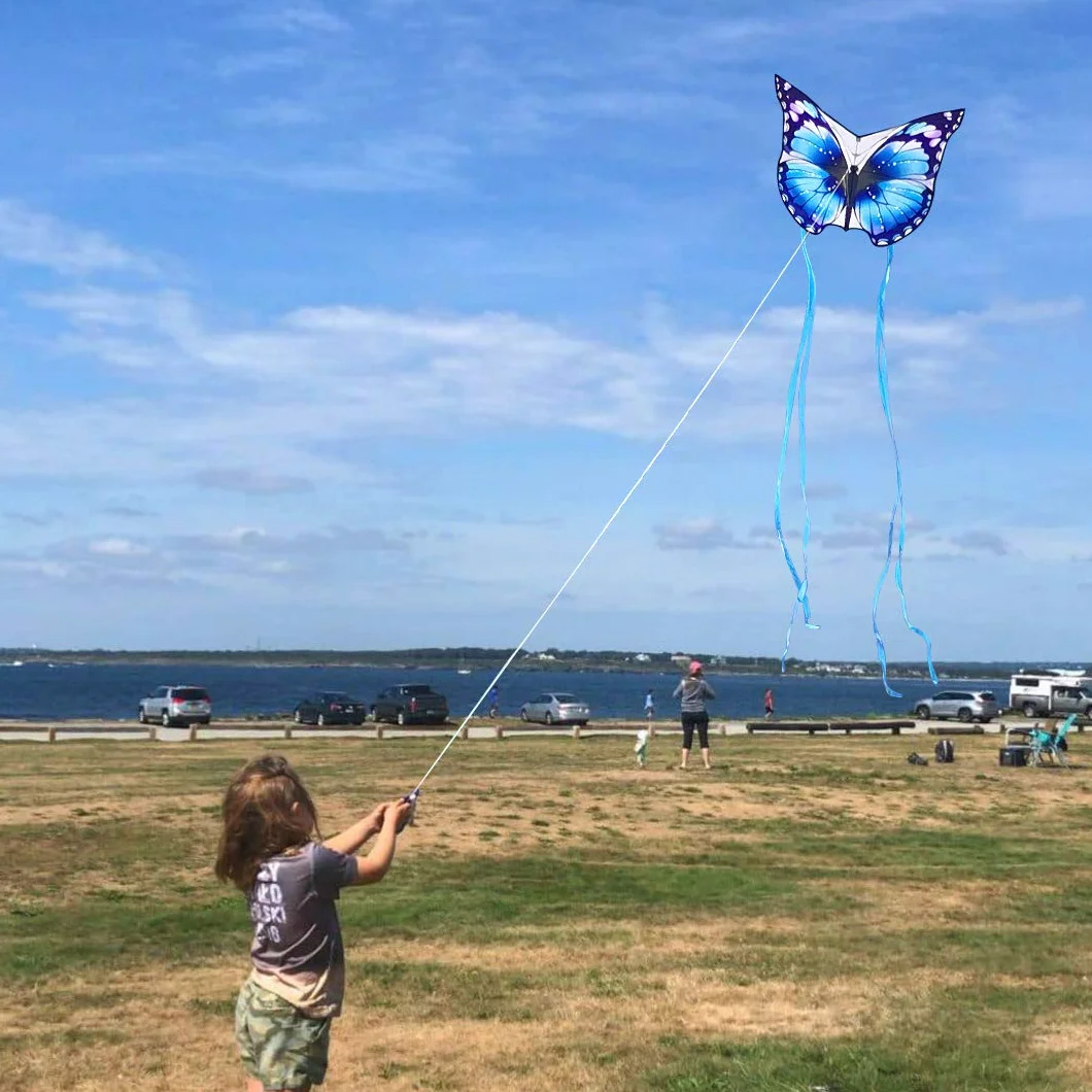 Mint's Colorful Life Cerfs-Volants Papillons Faciles à Piloter Enfants Adultes