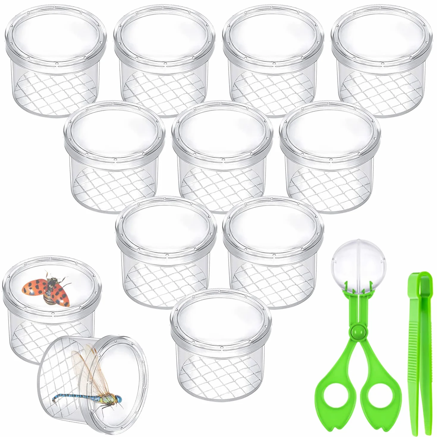 Lot de 12 loupes pour enfants - Kit de recherche biologie insectes