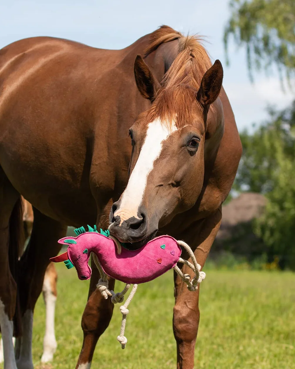 Licorne rose jouet pour chevaux