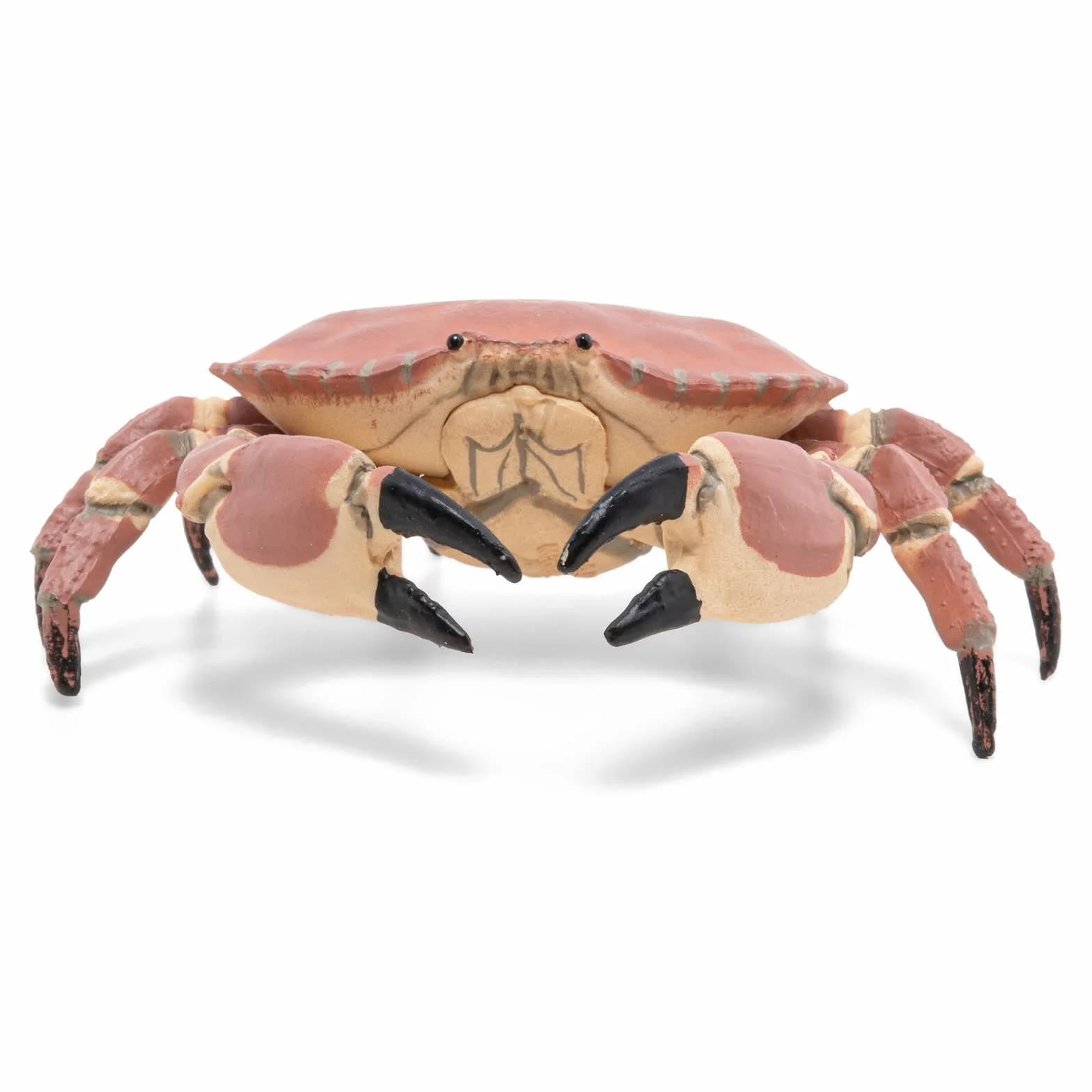 Papo Figurine Crabe Marin Réaliste Jouet Enfant 3 ans+ Univers Marin Jeu éducatif 8 cm