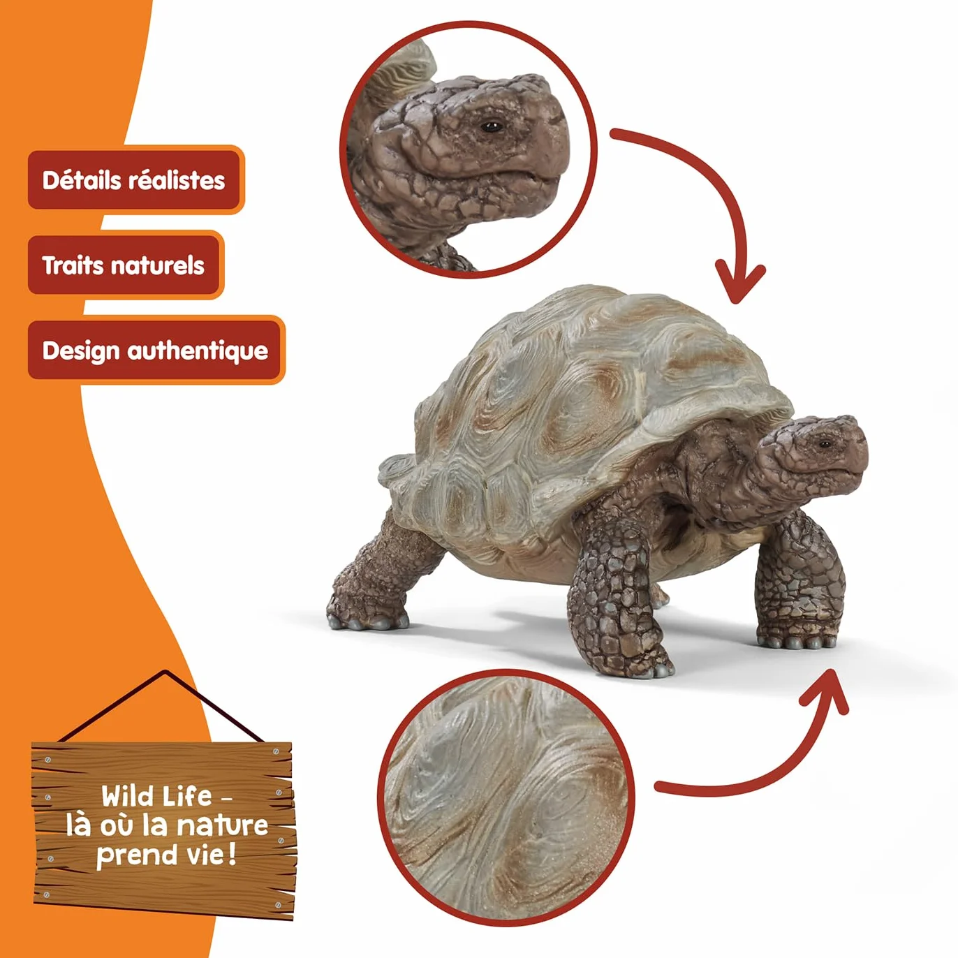 Schleich Wild Life Tortue Géante 14824 Figurine animale détaillée Jouet de Zoo 8 x 4 x 4 cm