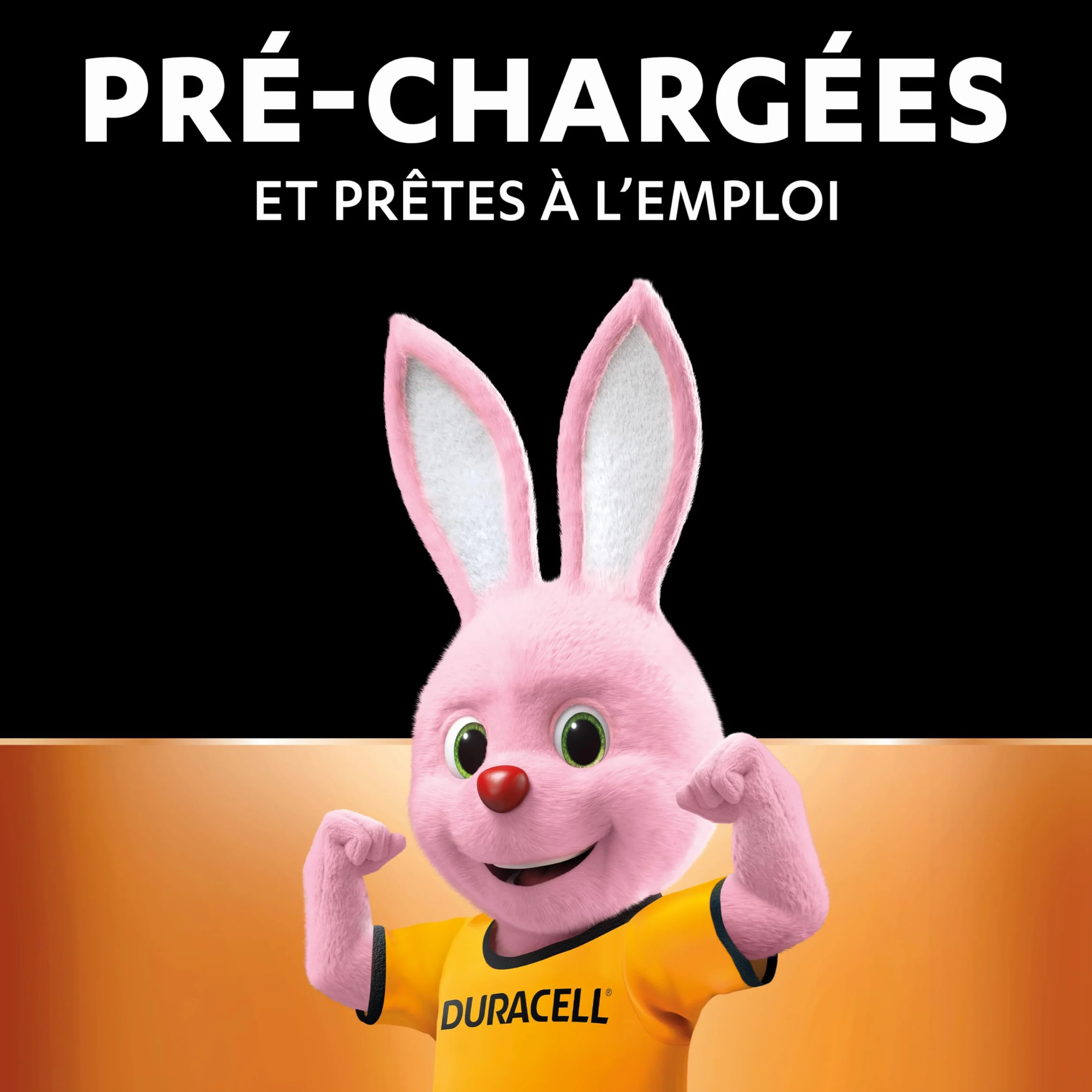Duracell Piles AA Rechargeables 2500 mAh NiMH Lot de 8