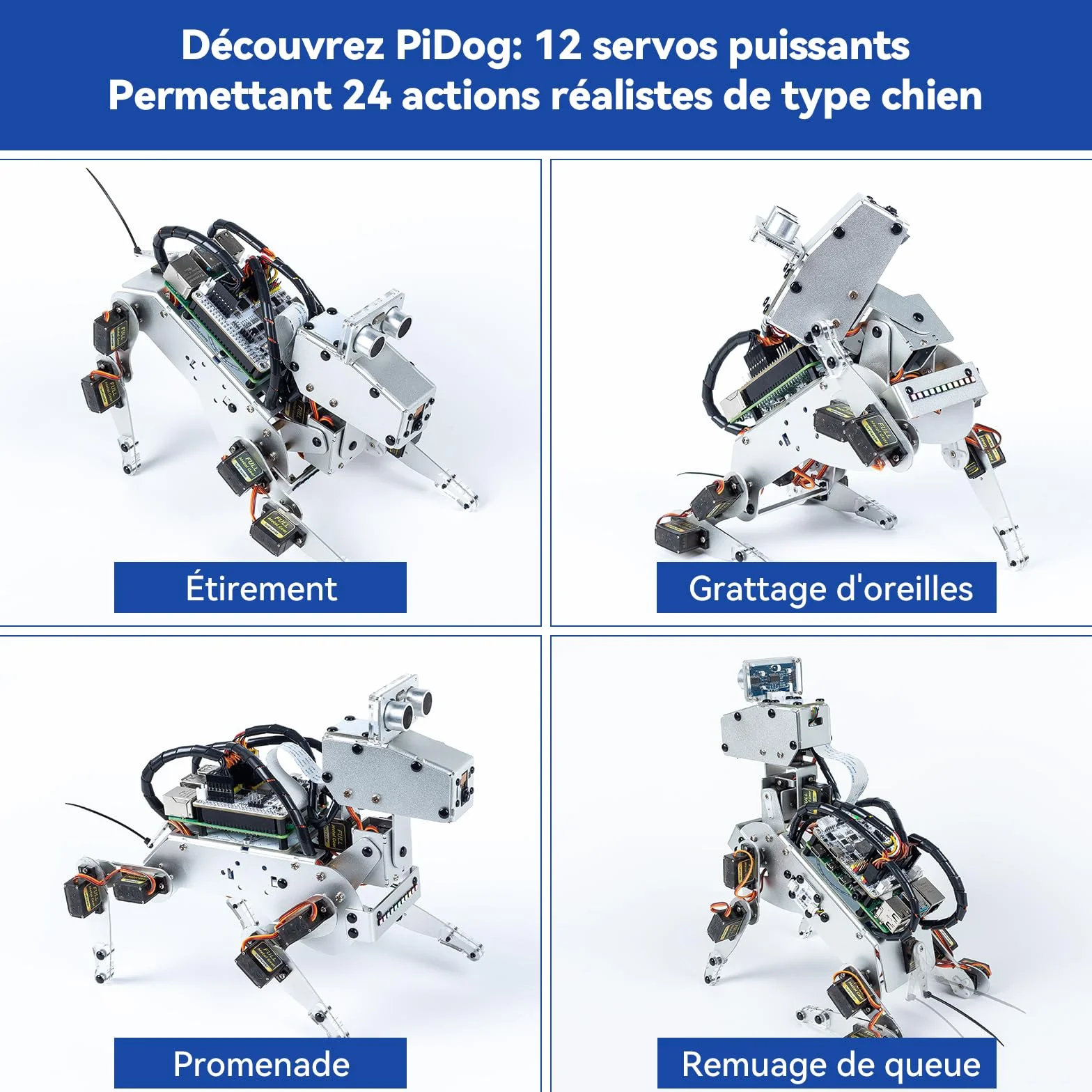SUNFOUNDER PiDog Kit Robot Chien IA pour Raspberry Pi 5/4/3B+/Zero 2W, OpenClaw LLMs ChatGPT/Gemini/Grok, Reconnaissance vocale et vidéo, Python, App, Batterie, Gyroscope, Caméra (RPI Non Inclus)