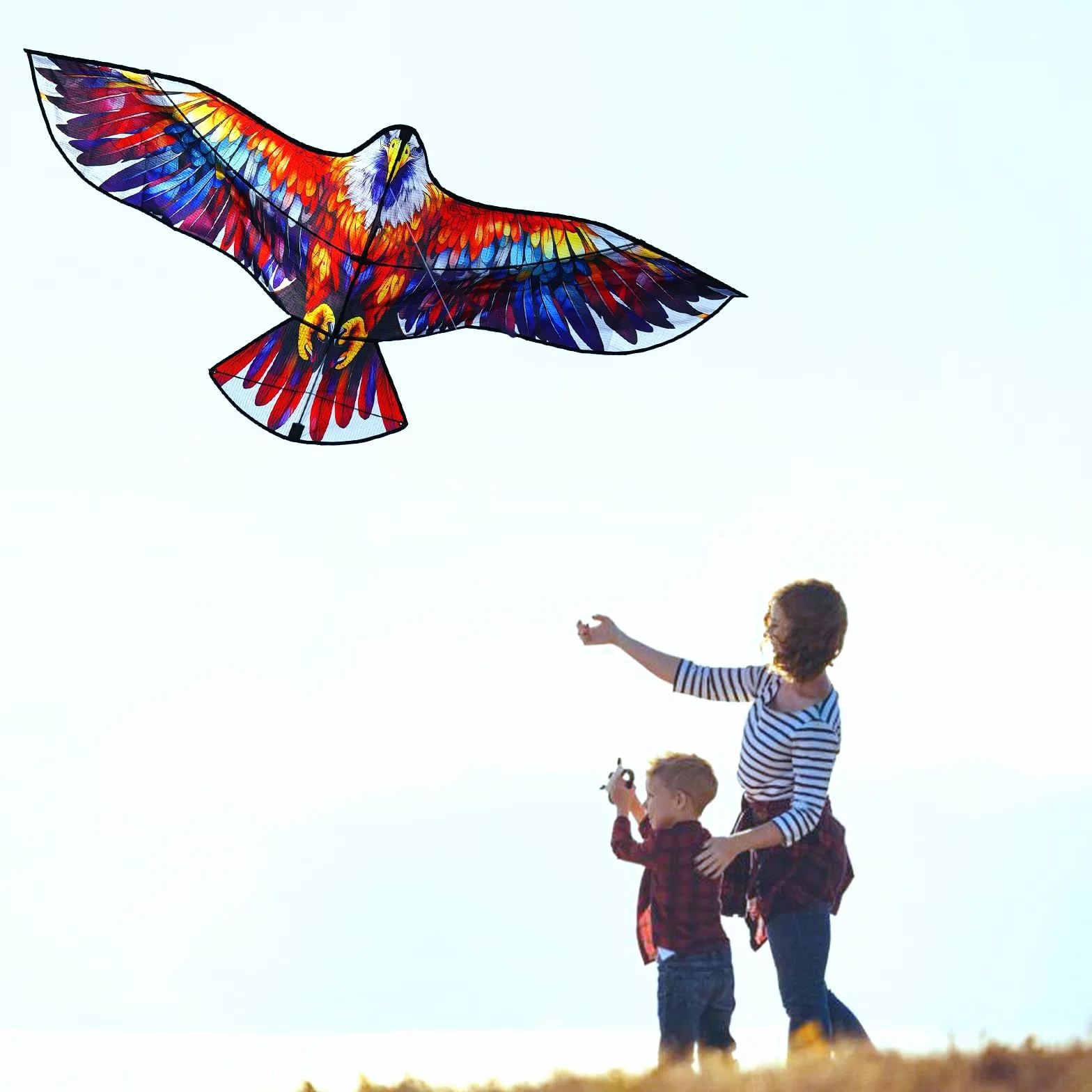 Cerf-Volant D’Aigle Coloré pour Enfants et Adultes, Facile à Voler, Conception de Structure Unique