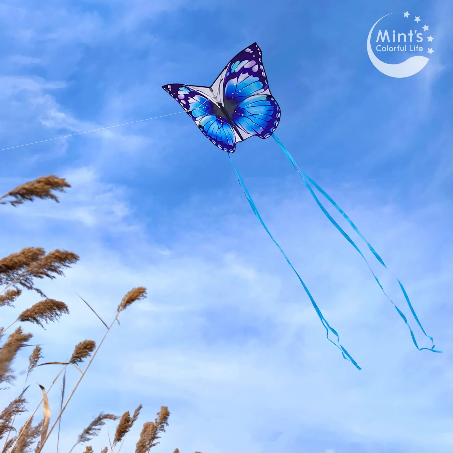 Mint's Colorful Life Cerfs-Volants Papillons Faciles à Piloter Enfants Adultes