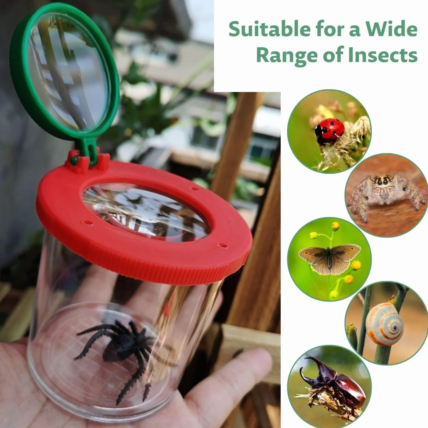 Lot de 2 loupes attrape-insectes avec filet de capture papillon pince à épiler kit de recherche extérieur science exploration nature