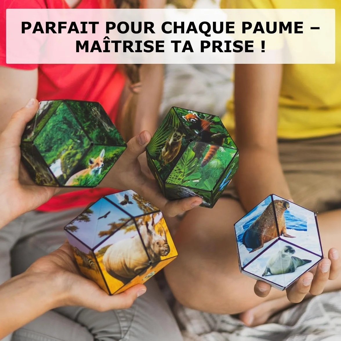 Shashibo Cube Transformable Antistress 36 Aimants Rares Thème Terre 100 Formes Savannah