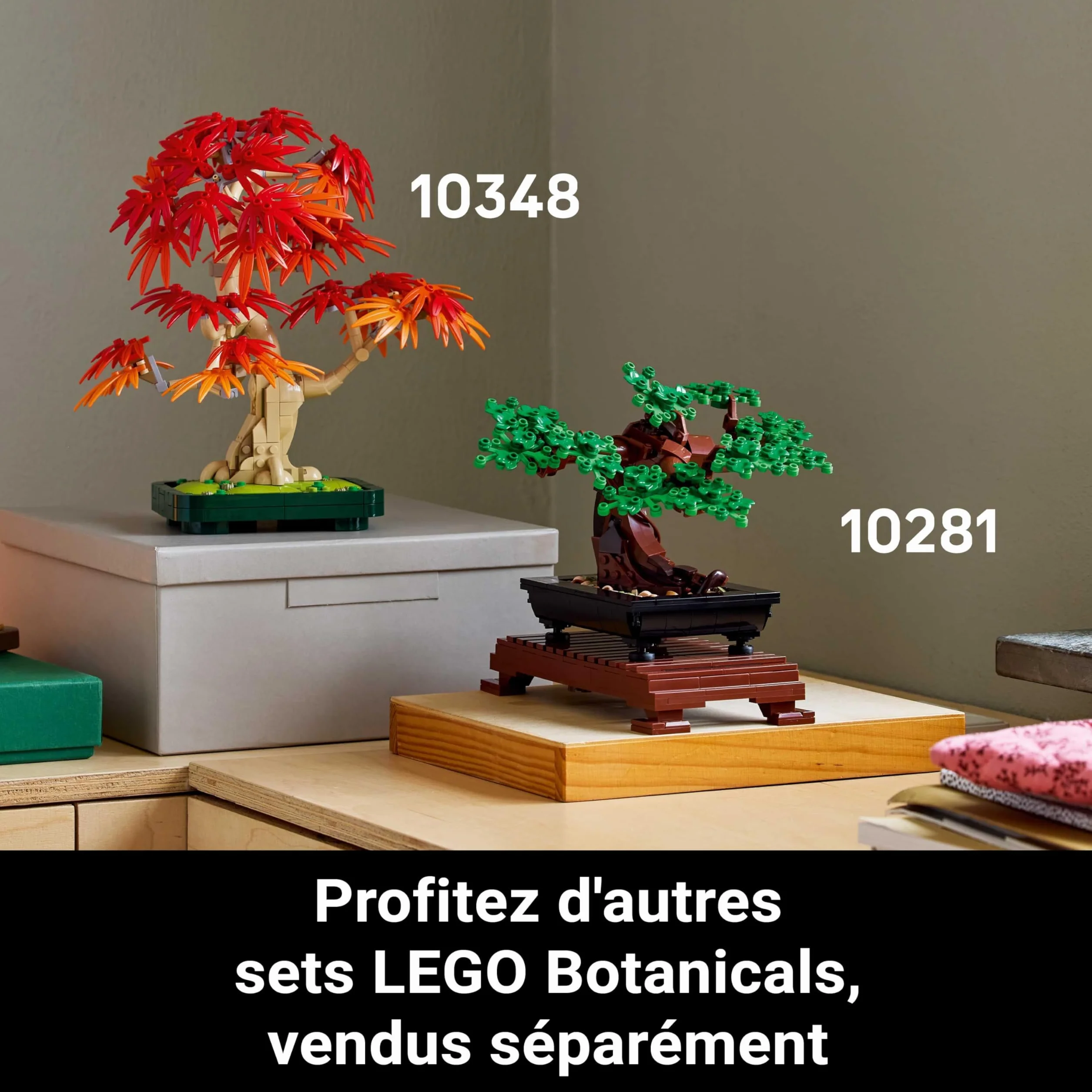 LEGO Botanicals Bonsaï d’Érable Rouge du Japon 10348 - Kit de Construction Adulte - Plante Artificielle avec Feuilles Rouges et Oranges - Pot Constructible