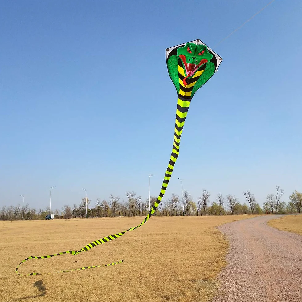 Cerf-Volant Enfants et Adultes Cobra Sport Plage, Ligne et Poignée Inclus