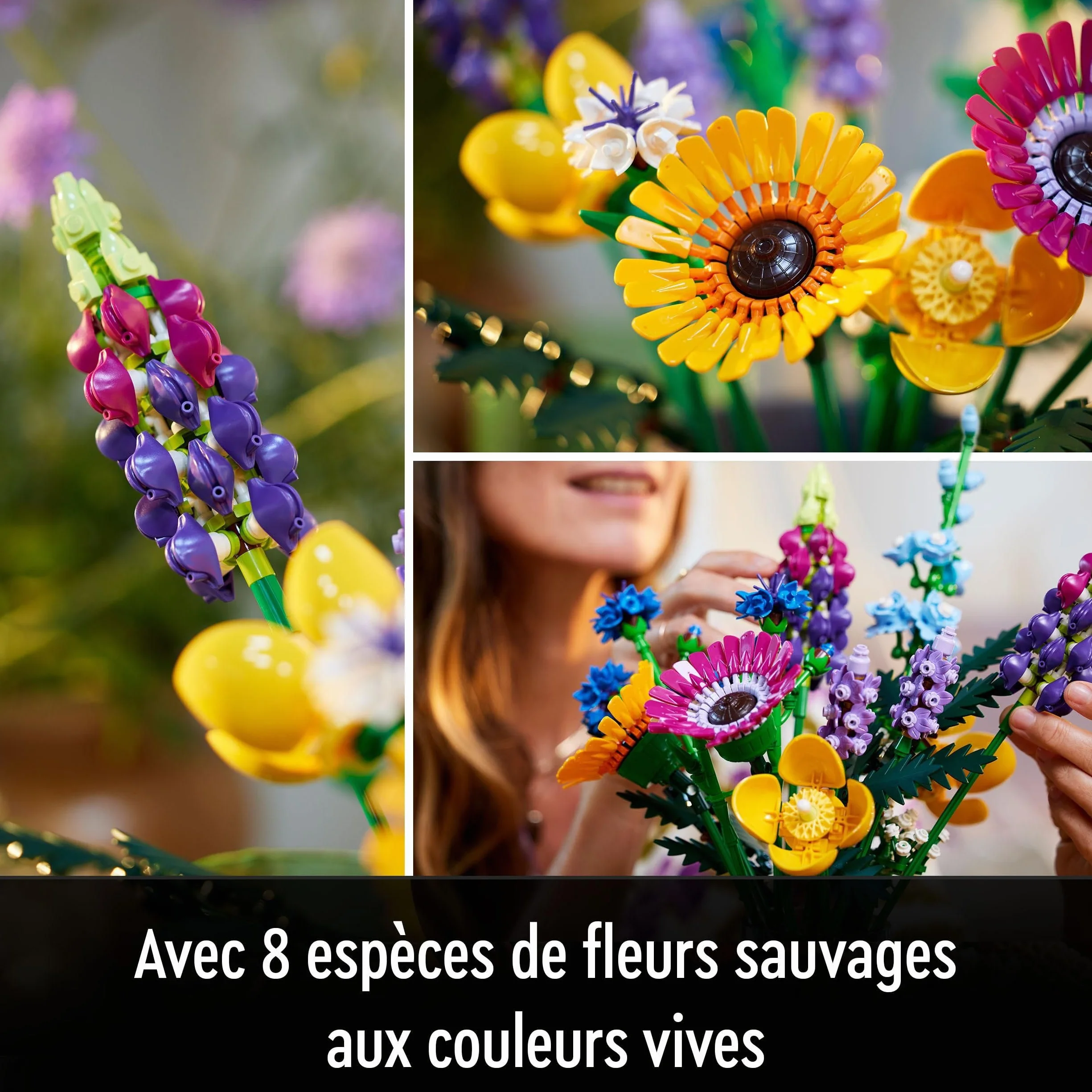 LEGO Botanicals Bouquet de Fleurs Sauvages Plantes Artificielles Coquelicots Lavande Activité Manuelle Adulte 10313