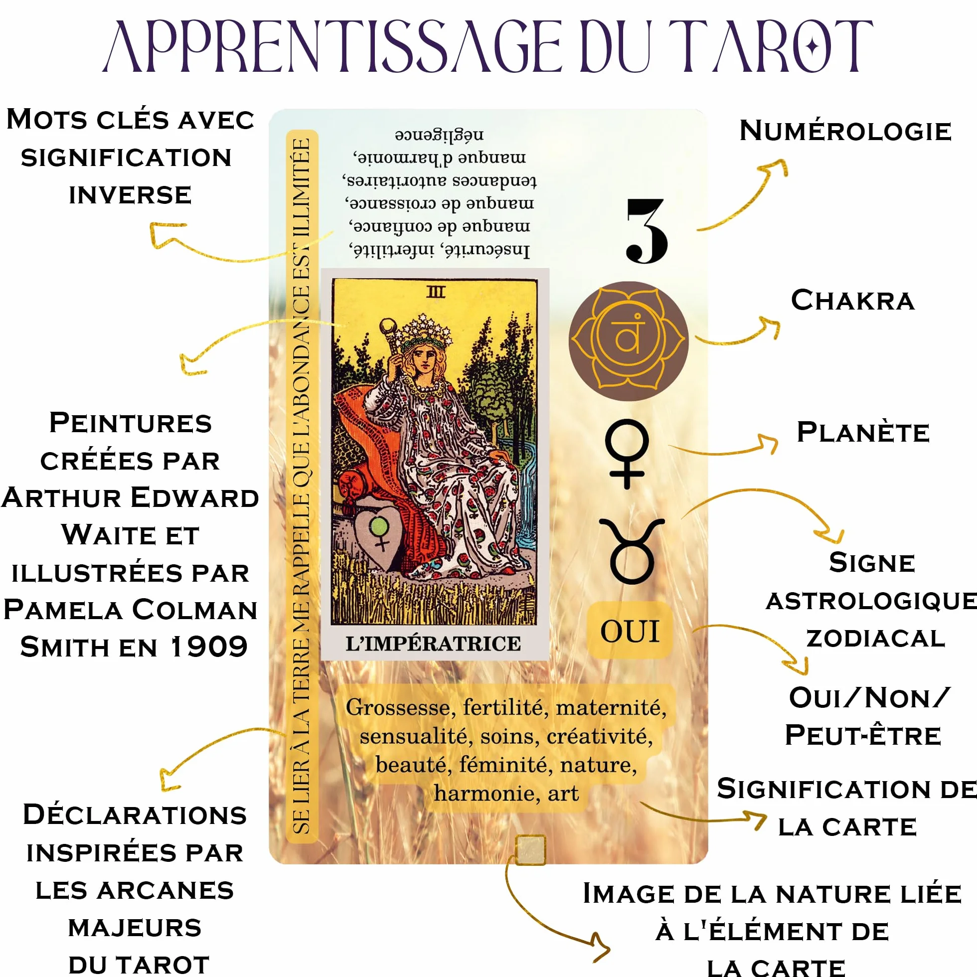 Jeu Tarot Divinatoire Francais 78 Cartes Voyance Rider-Waite-Smith avec Mots-Cles Guide Oracle
