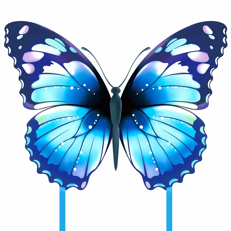 Mint's Colorful Life Cerfs-Volants Papillons Faciles à Piloter Enfants Adultes