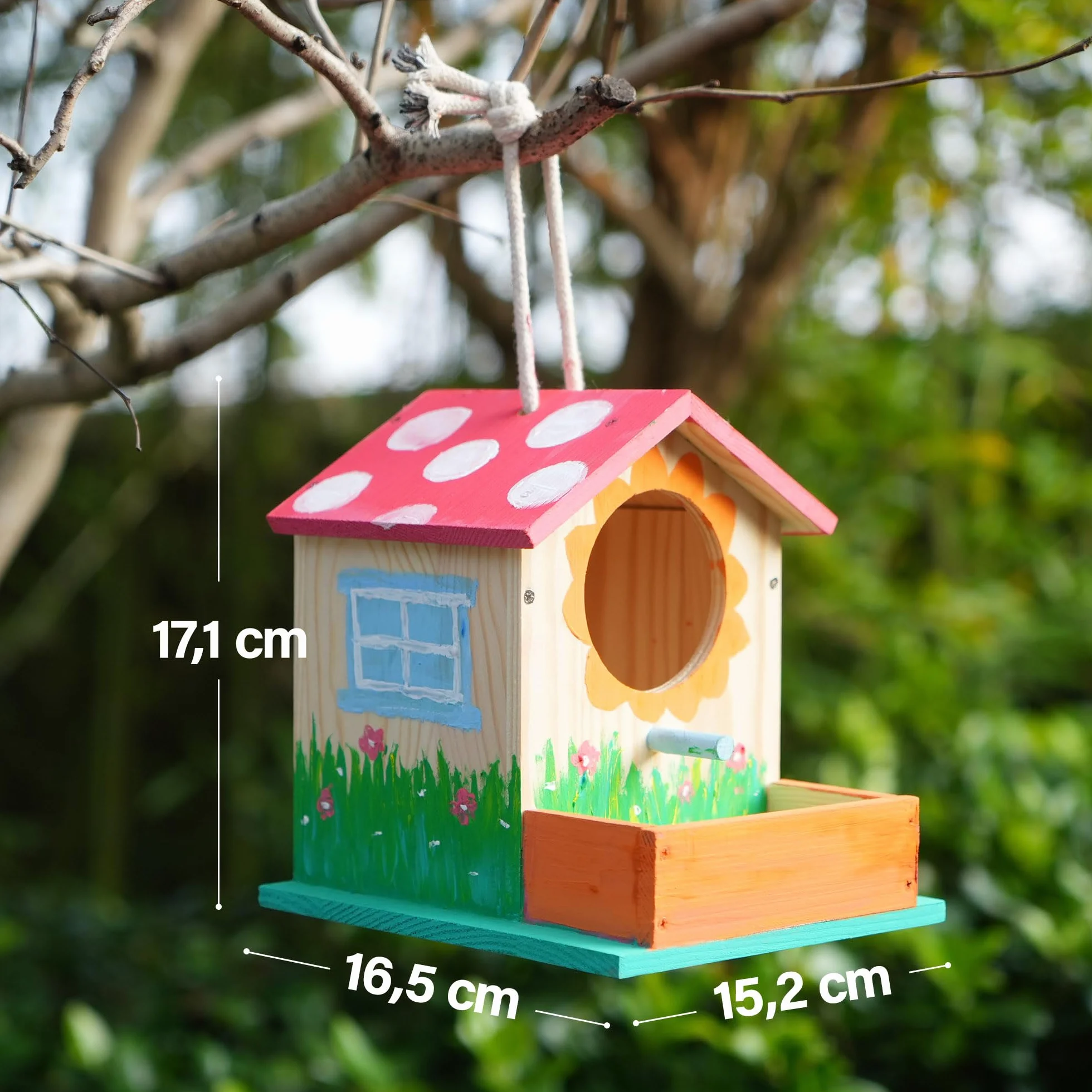 LotFancy Kit de Bricolage Cabane Oiseaux en Bois pour Enfant, 2 Pièce, Maison Oiseaux Exterieur