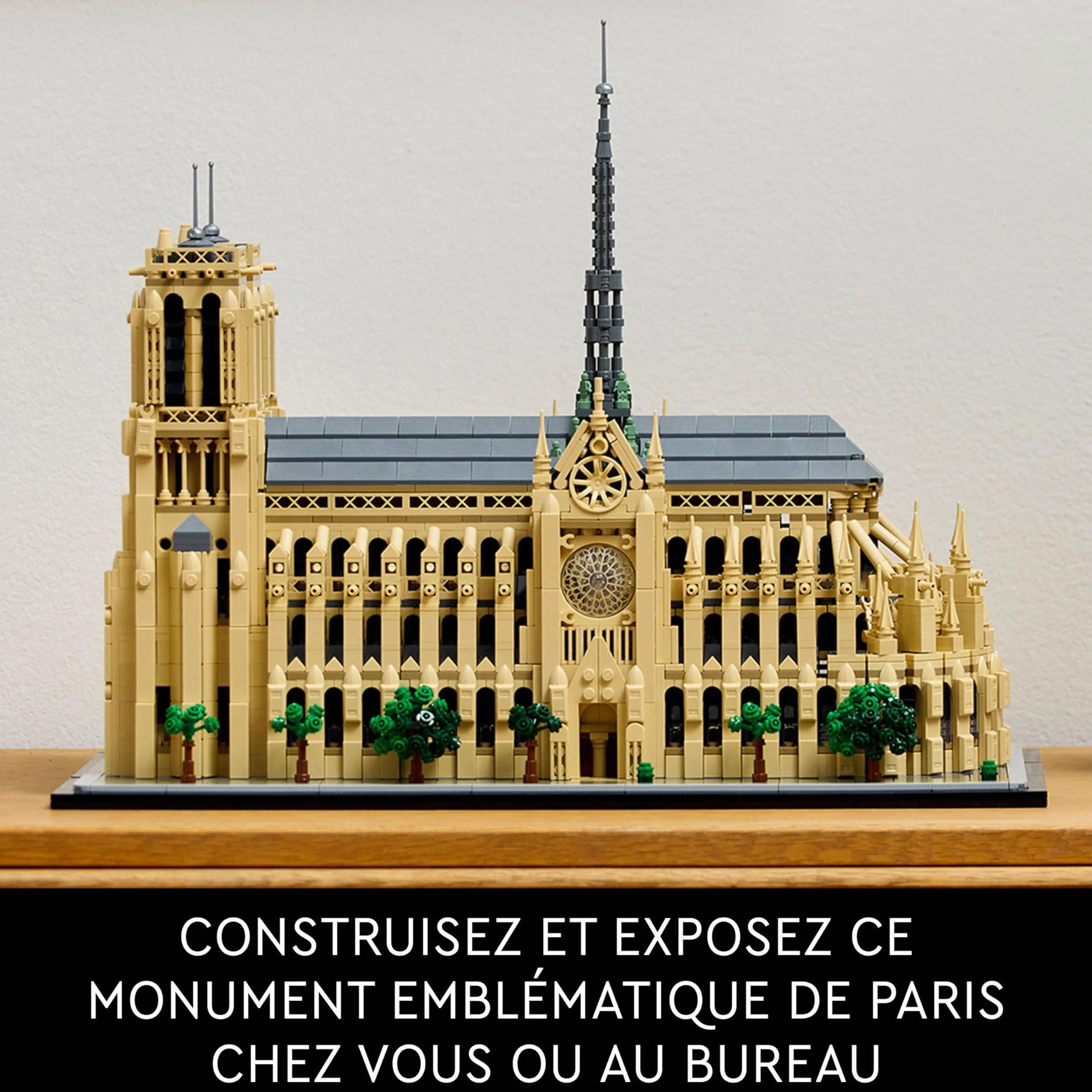 LEGO Architecture Notre-Dame de Paris 21061 Maquette à Construire Set pour Adultes